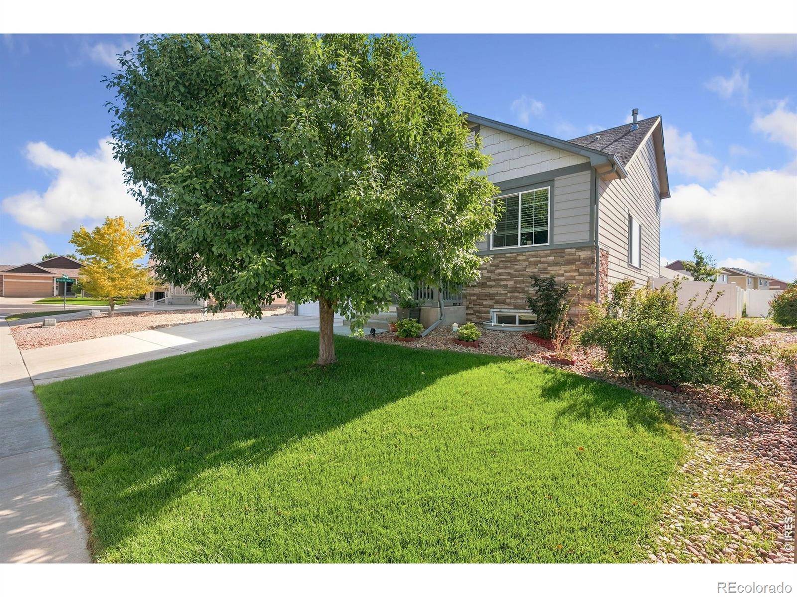 375 Shadowbrook DR, Windsor, CO 80550