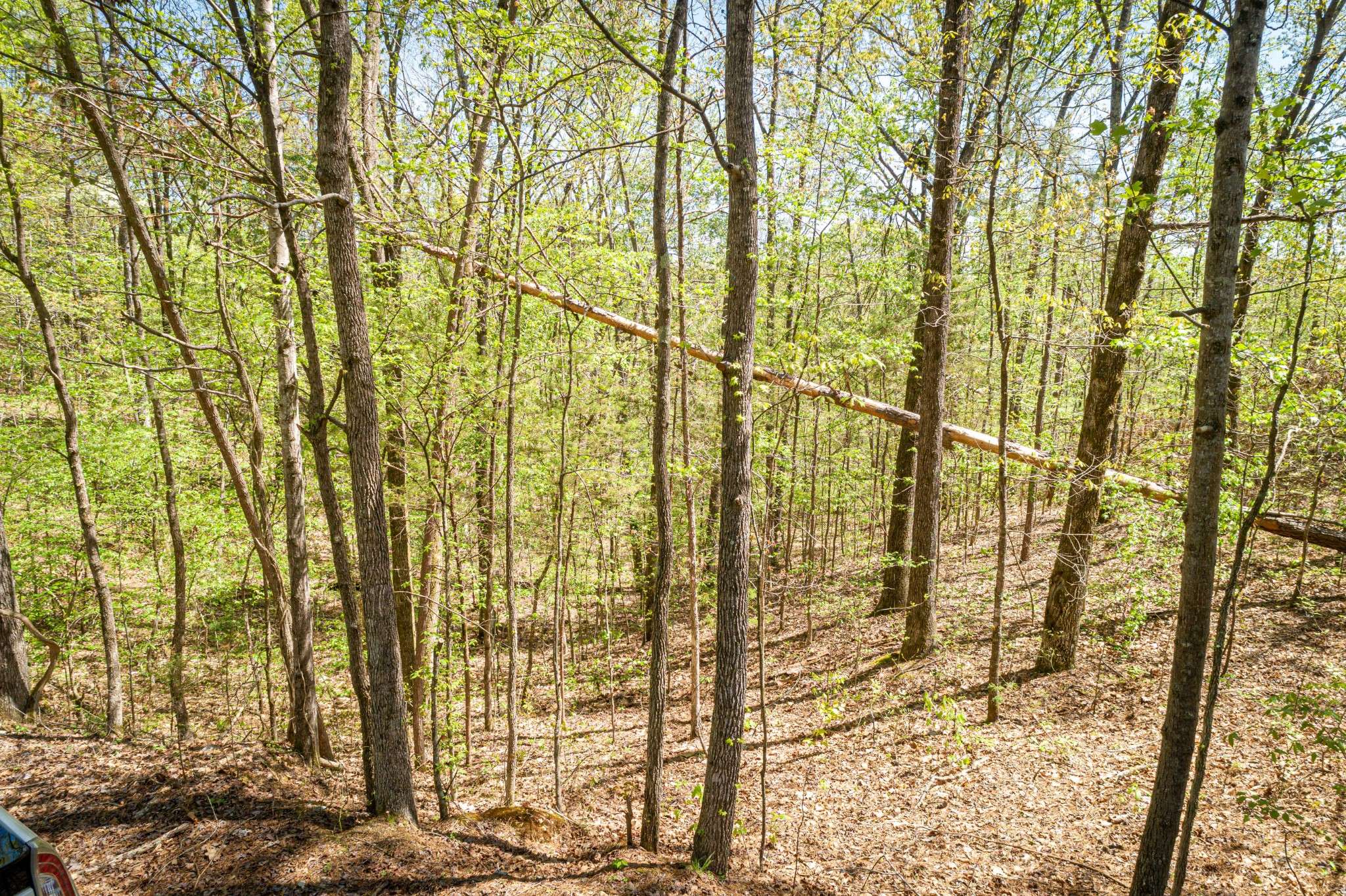 0 Fawn Ridge Rd, Parsons, TN 38363