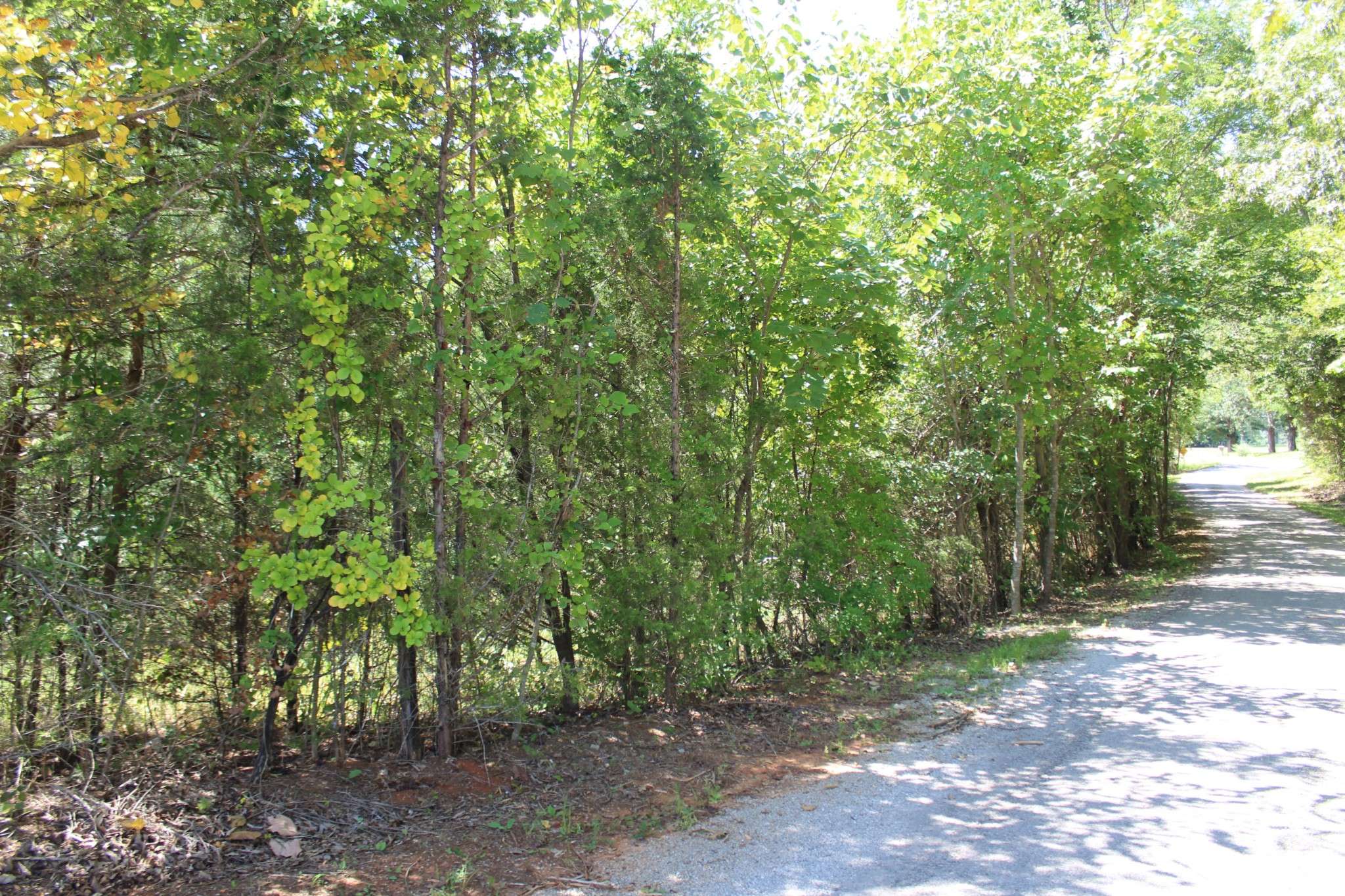 0 Higginbotham Rd, Mcminnville, TN 37110