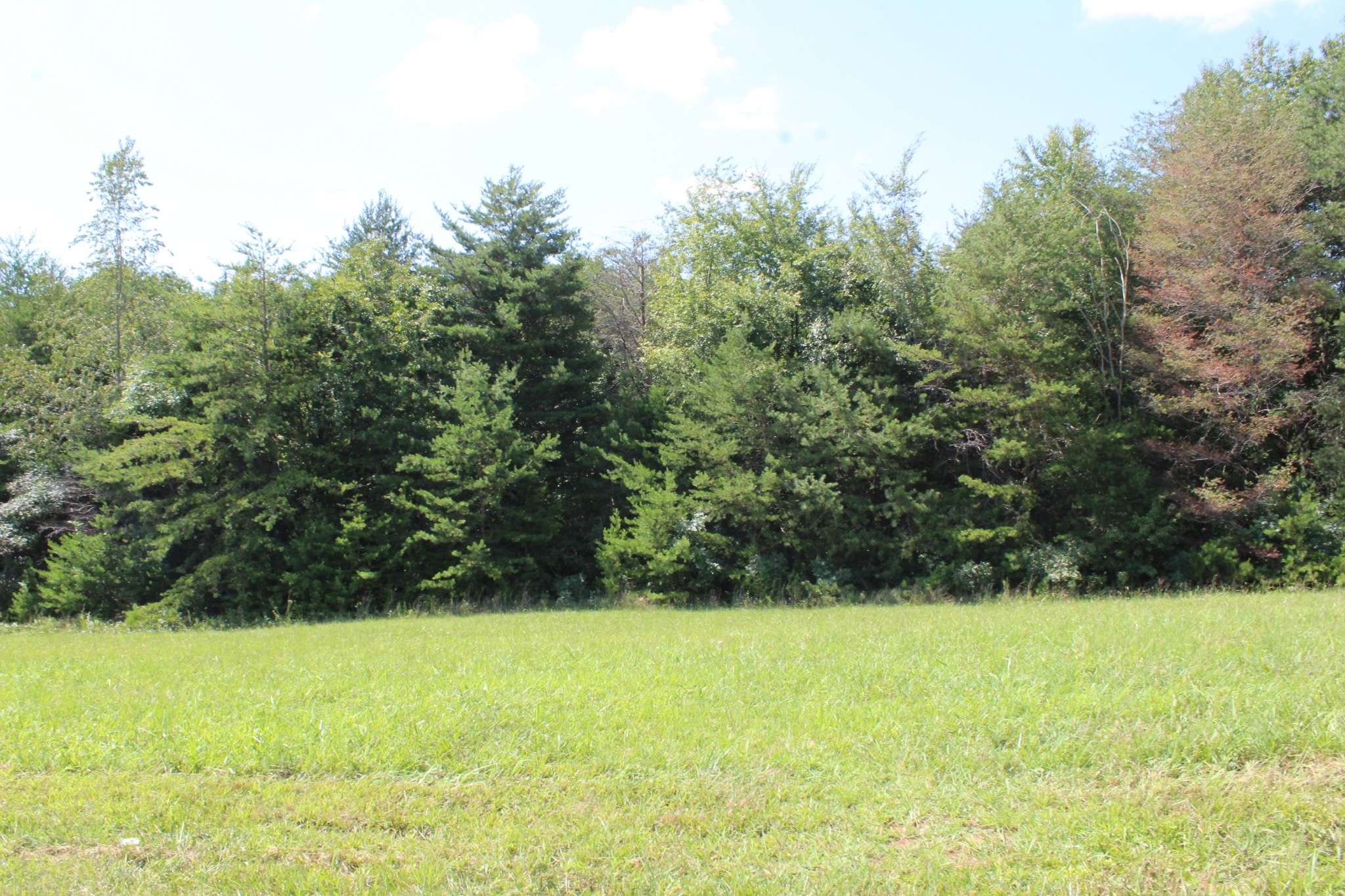 0 Higginbotham Rd, Mcminnville, TN 37110