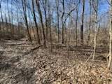 0 Old Tobaccoport Rd, Bumpus Mills, TN 37028