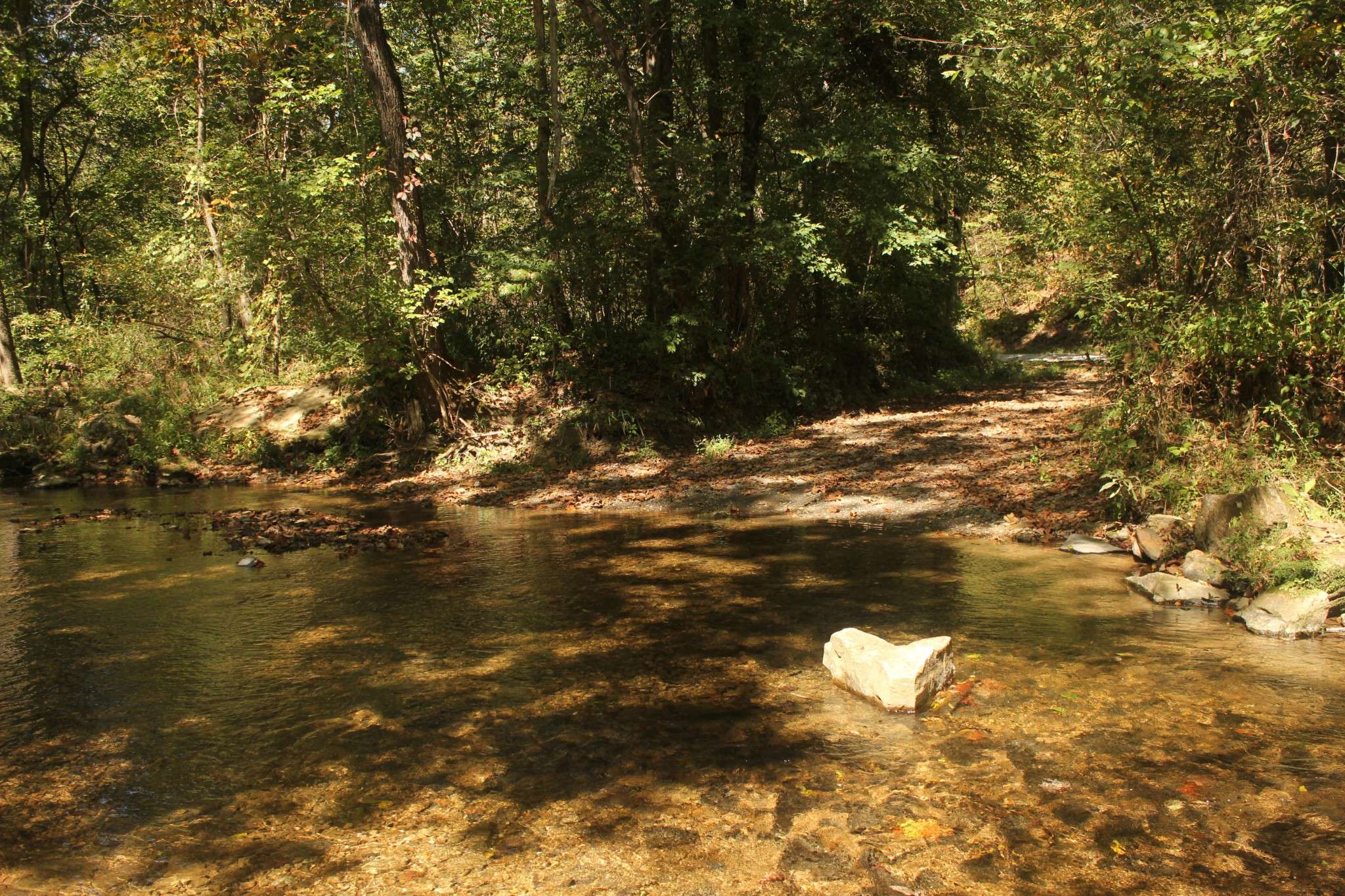 0 Puncheon Creek Rd, Lafayette, TN 37083