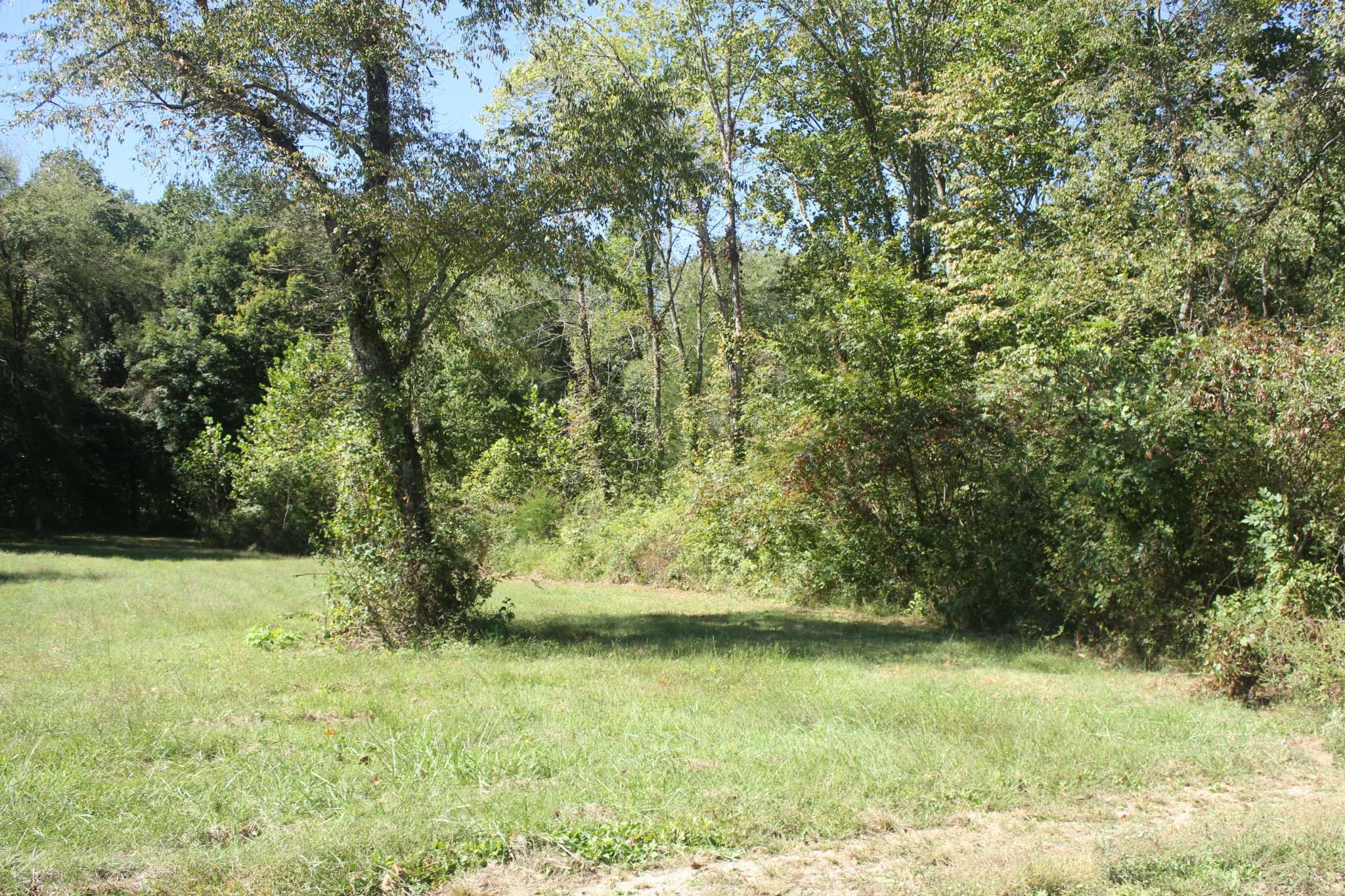 0 Puncheon Creek Rd, Lafayette, TN 37083