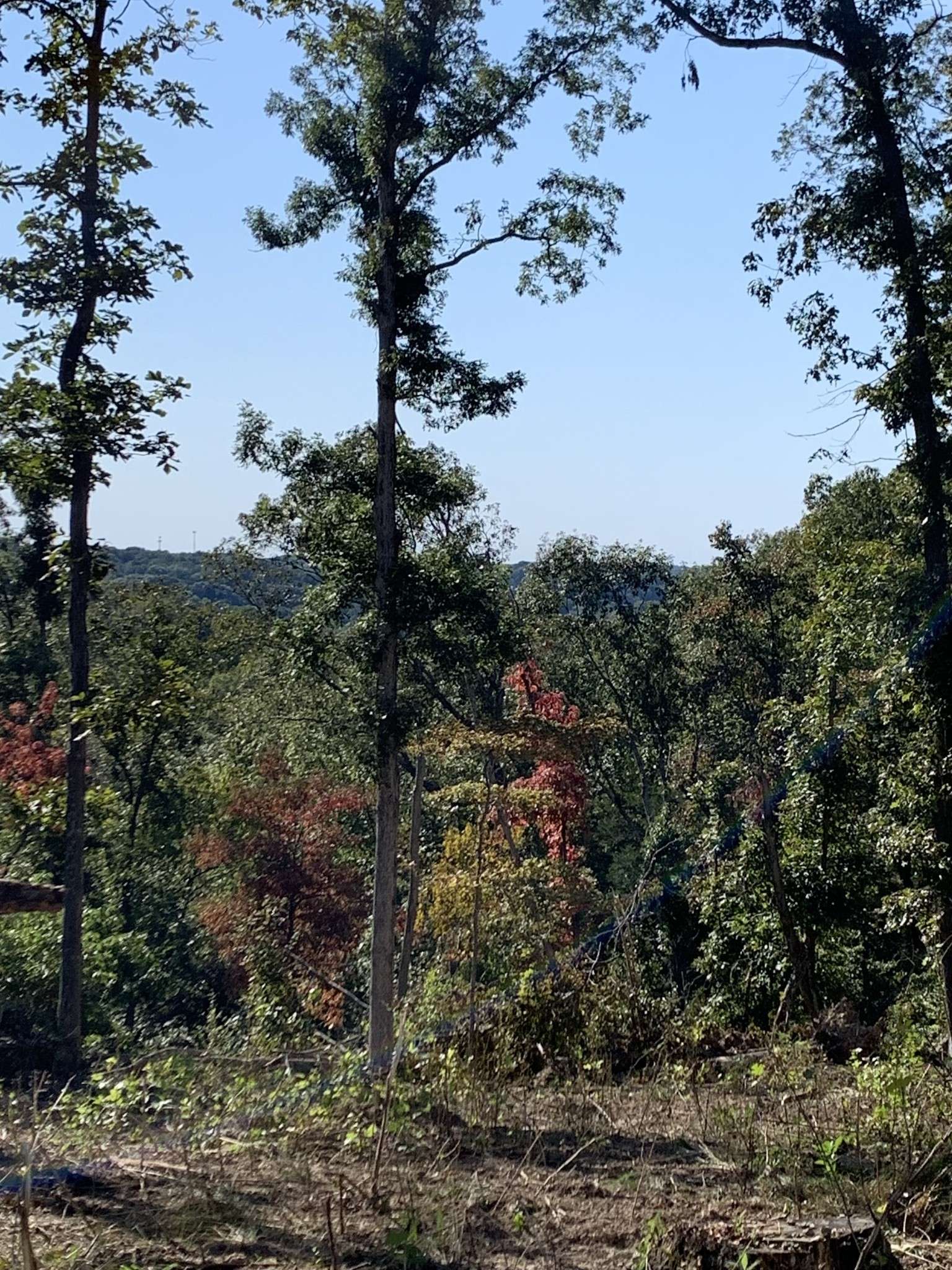 0 Hester Beasley Rd, Nashville, TN 37221