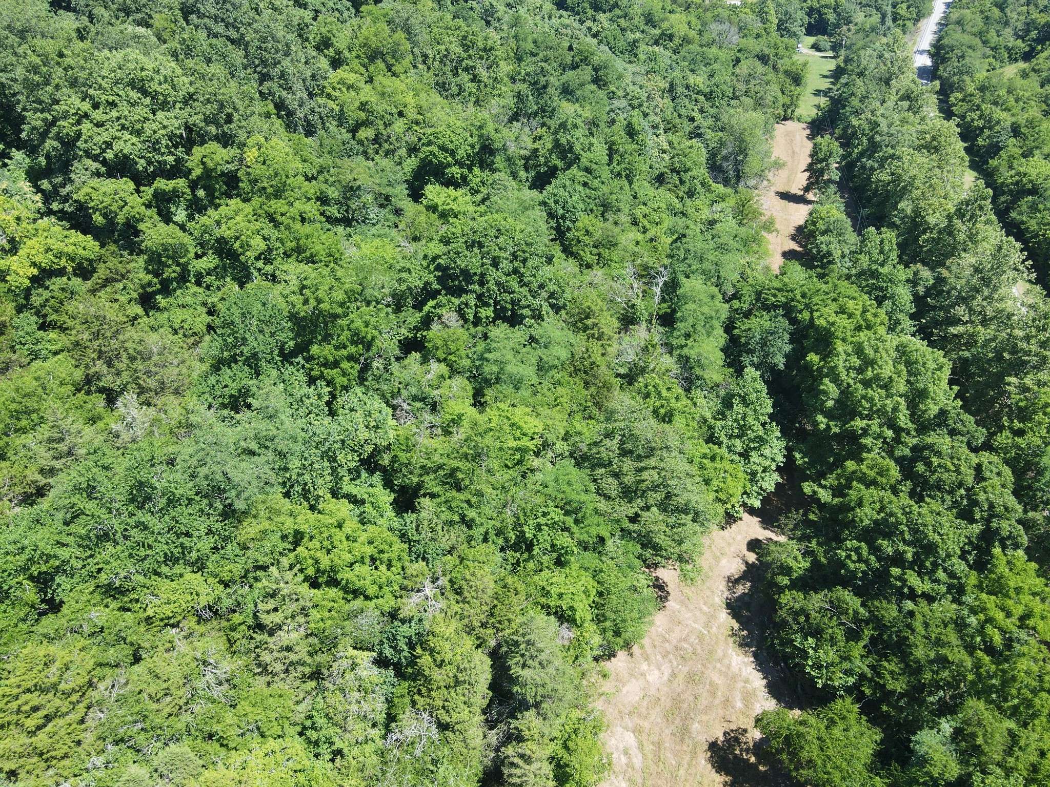 0 Gossburg Road, Beechgrove, TN 37018