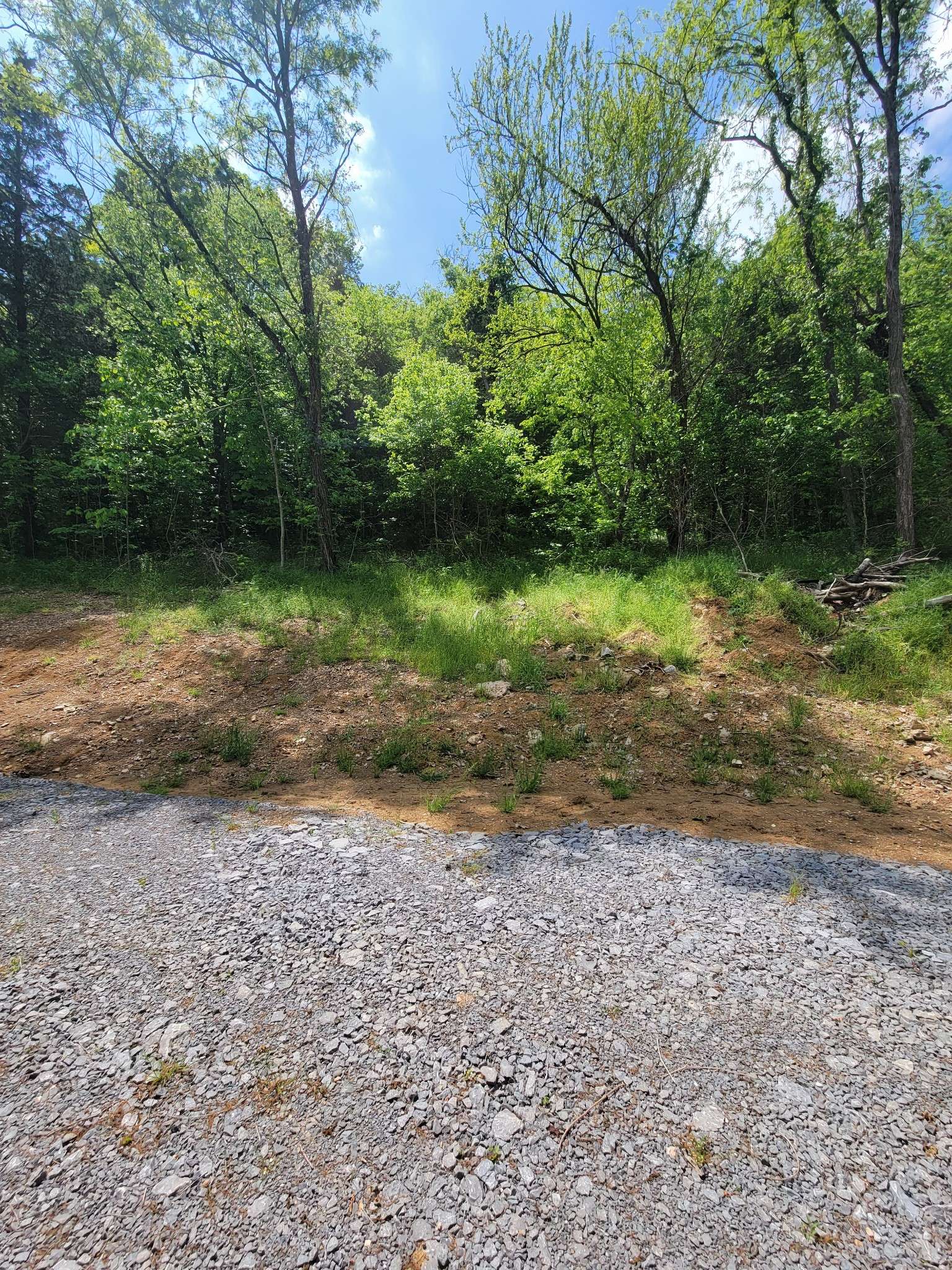 0 Gossburg Road, Beechgrove, TN 37018