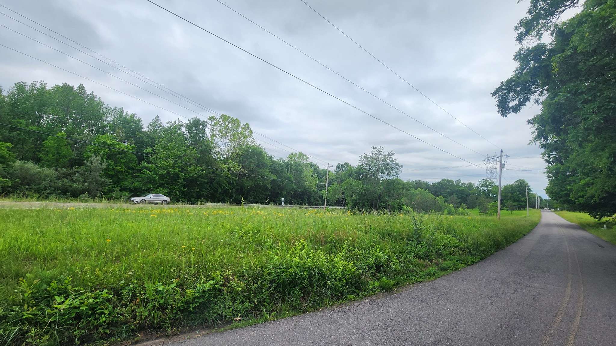 3147 Old New Cut Rd, Springfield, TN 37172