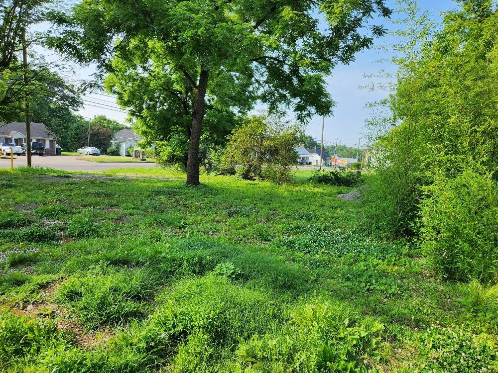 602 S 1st St, Pulaski, TN 38478