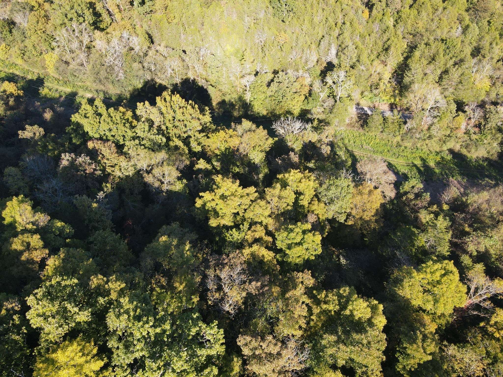 0 Cole Ridge Rd, Manchester, TN 37355