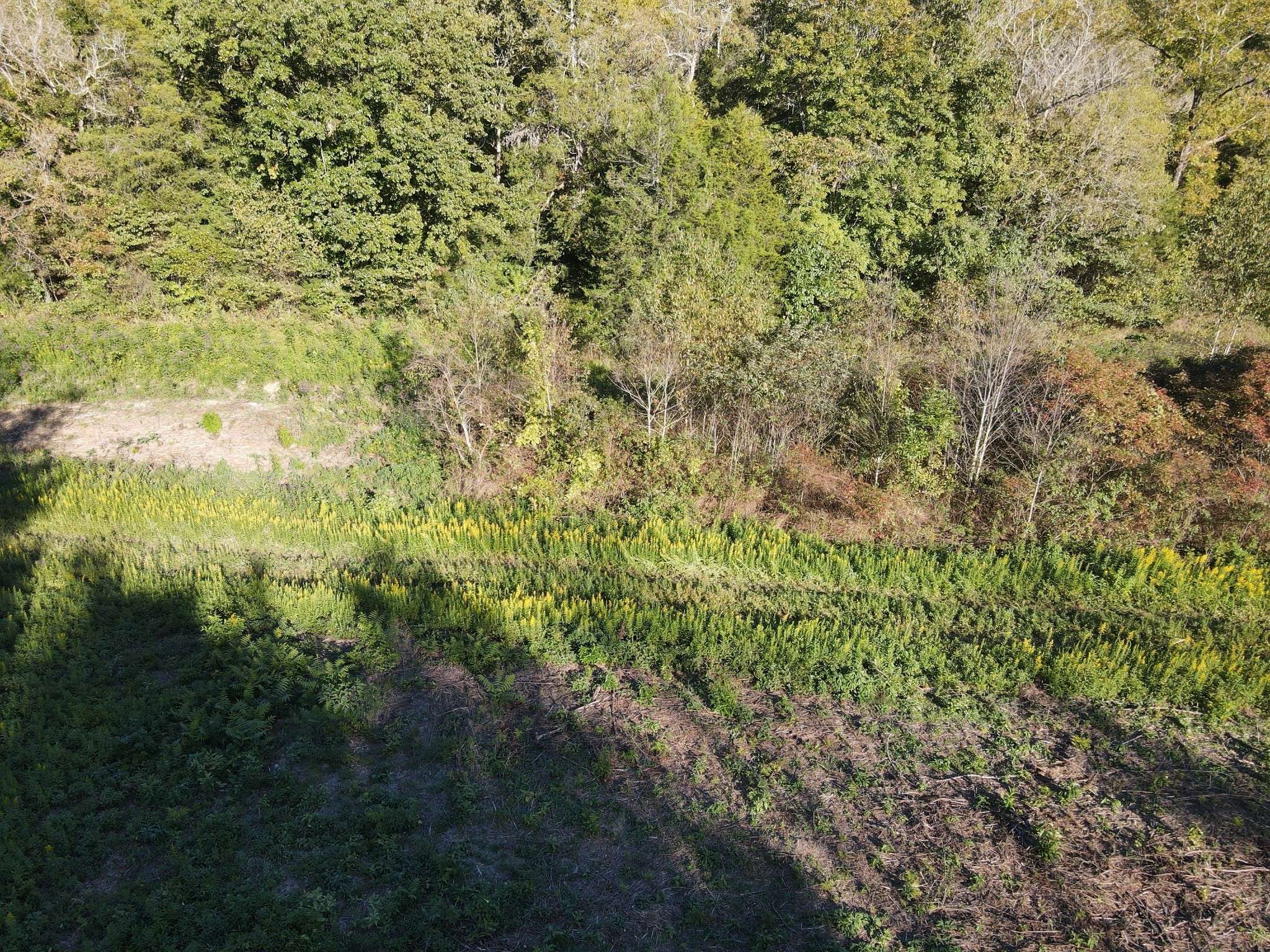0 Cole Ridge Rd, Manchester, TN 37355