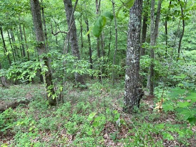 0 Eagle View Cv, Big Sandy, TN 38221