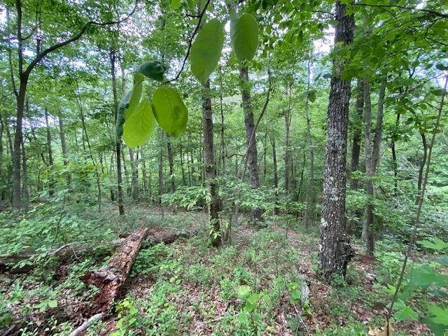 0 Eagle View Cv, Big Sandy, TN 38221