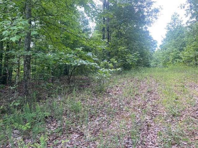 0 Eagle Nest Ln, Big Sandy, TN 38221