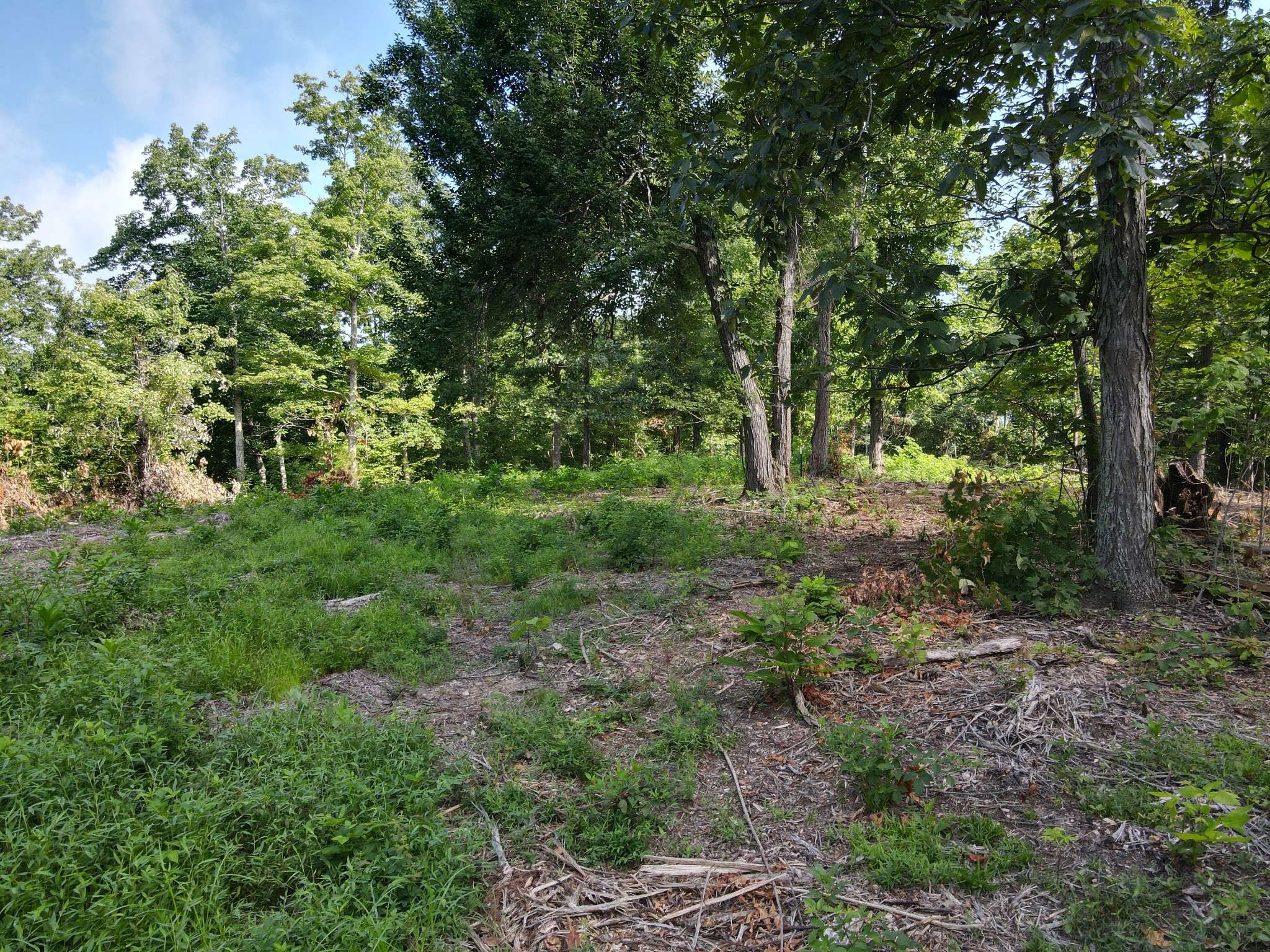 0 Rivendell, Beechgrove, TN 37018