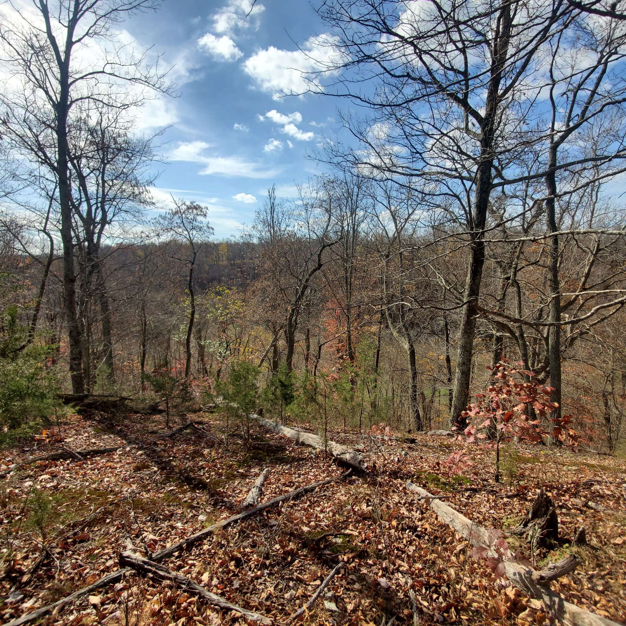 0 Rivendell, Beechgrove, TN 37018