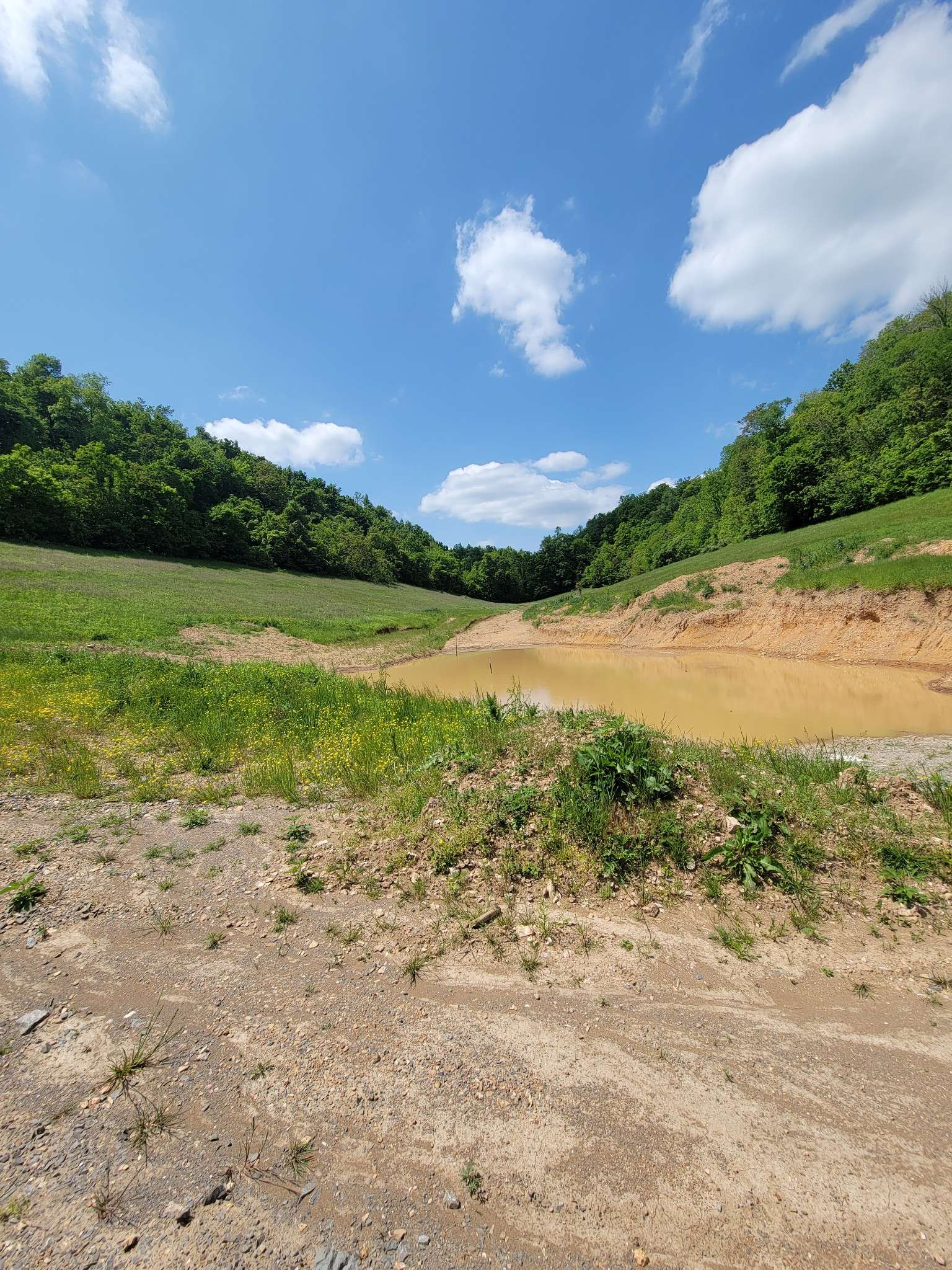 0 Rivendell, Beechgrove, TN 37018