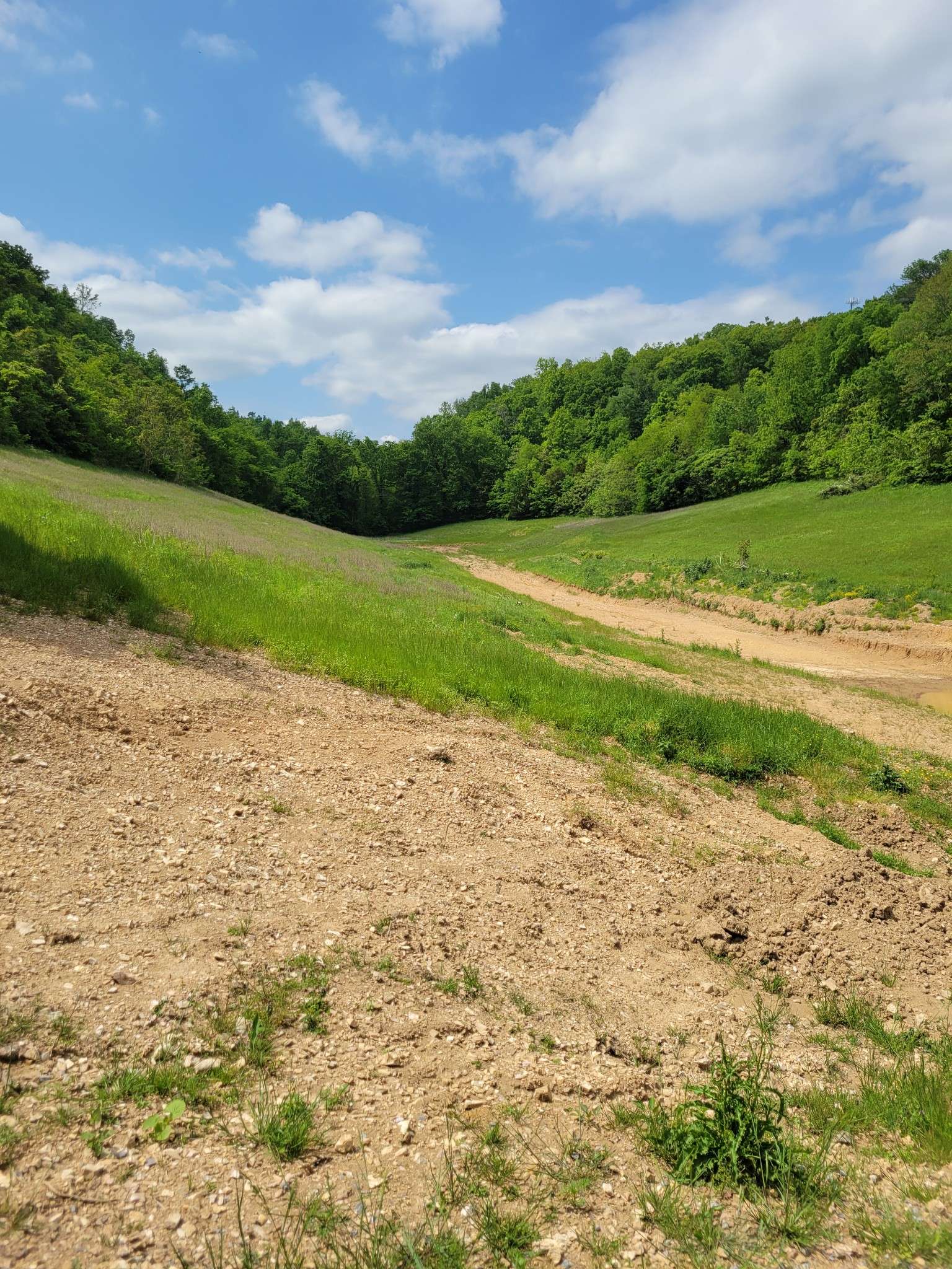 0 Rivendell, Beechgrove, TN 37018