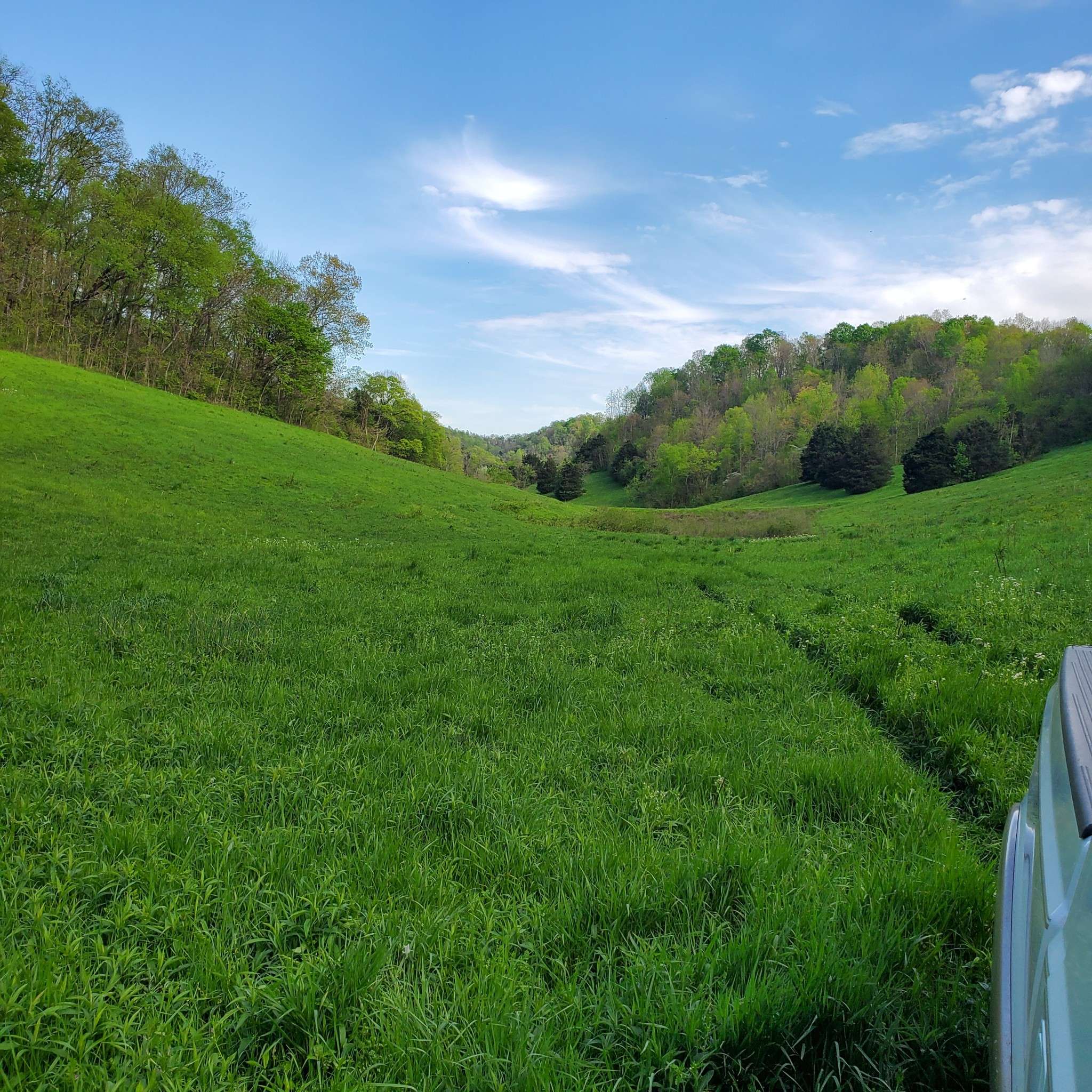 0 Rivendell, Beechgrove, TN 37018