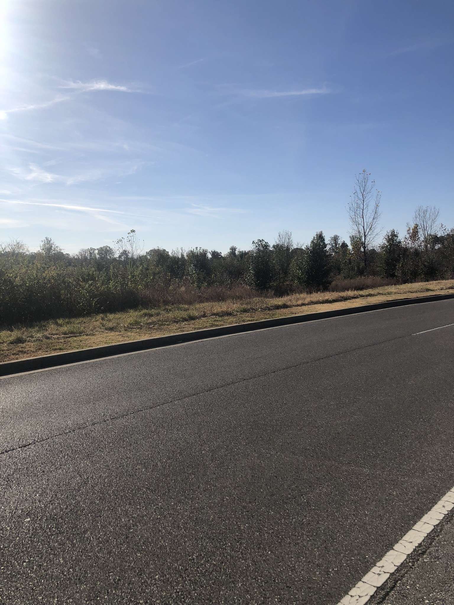 1 Swanholme Dr, Murfreesboro, TN 37128