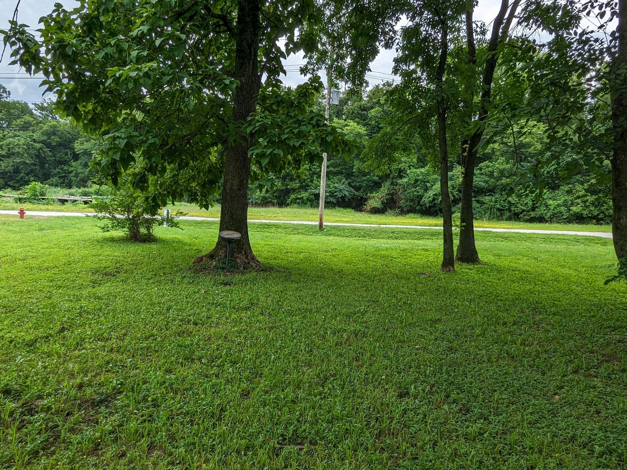 214 Boswell St, Mount Pleasant, TN 38474