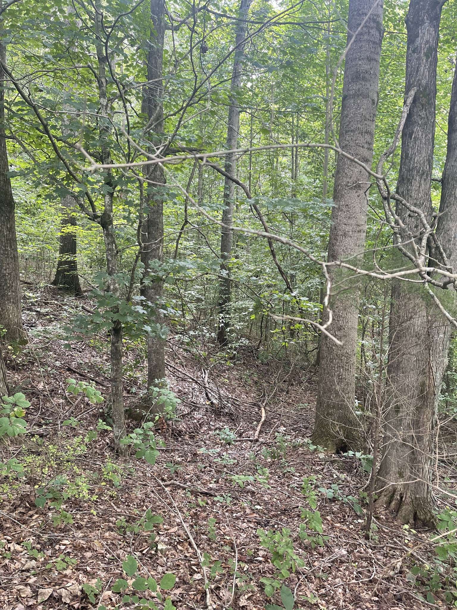 0 HWY 52 bypass west #W, Lafayette, TN 37083