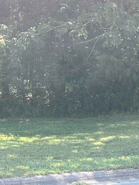 1007 Pleasant Grove Pl, Mount Juliet, TN 37122
