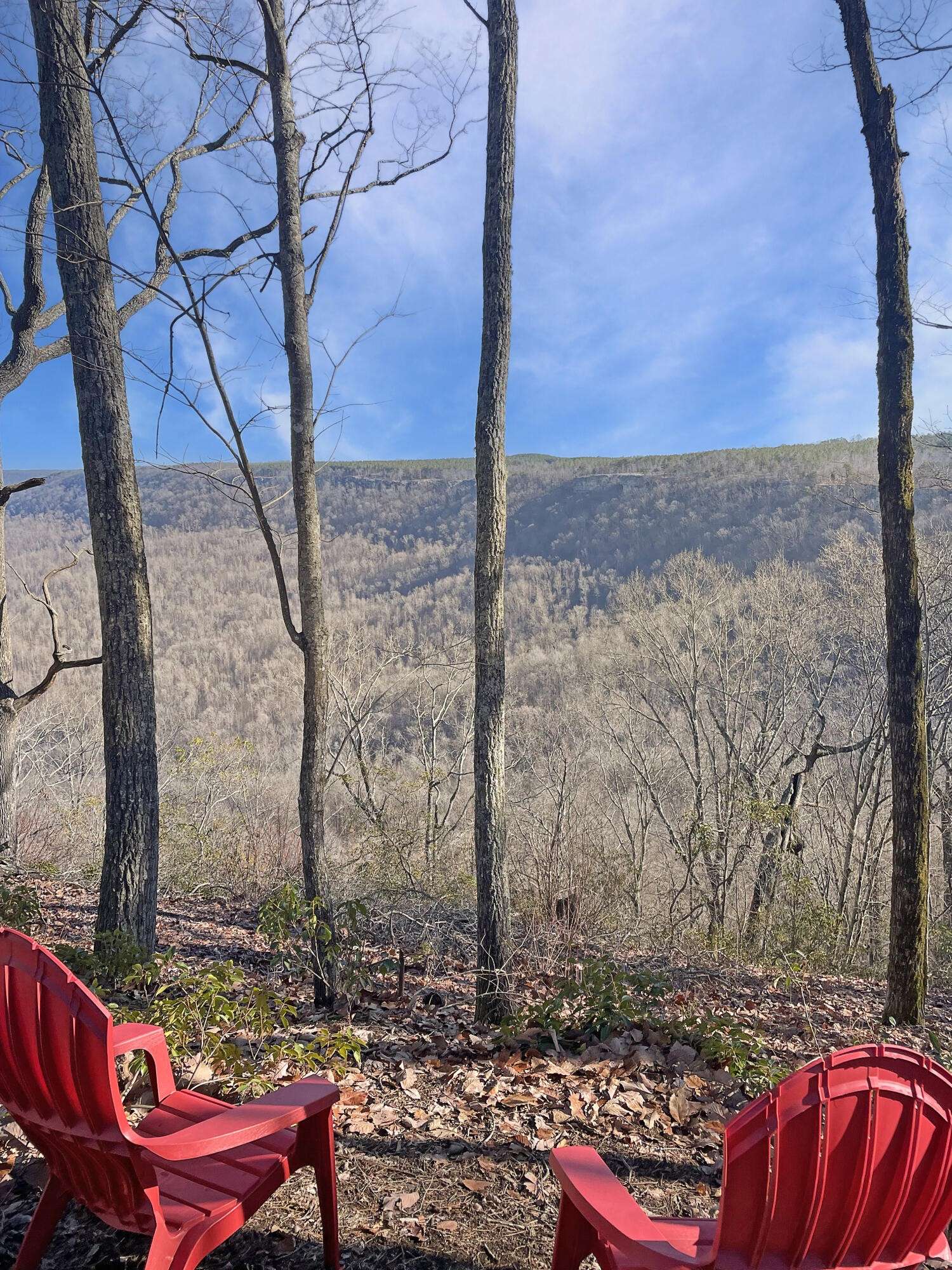 0 Summit Way, Jasper, TN 37347