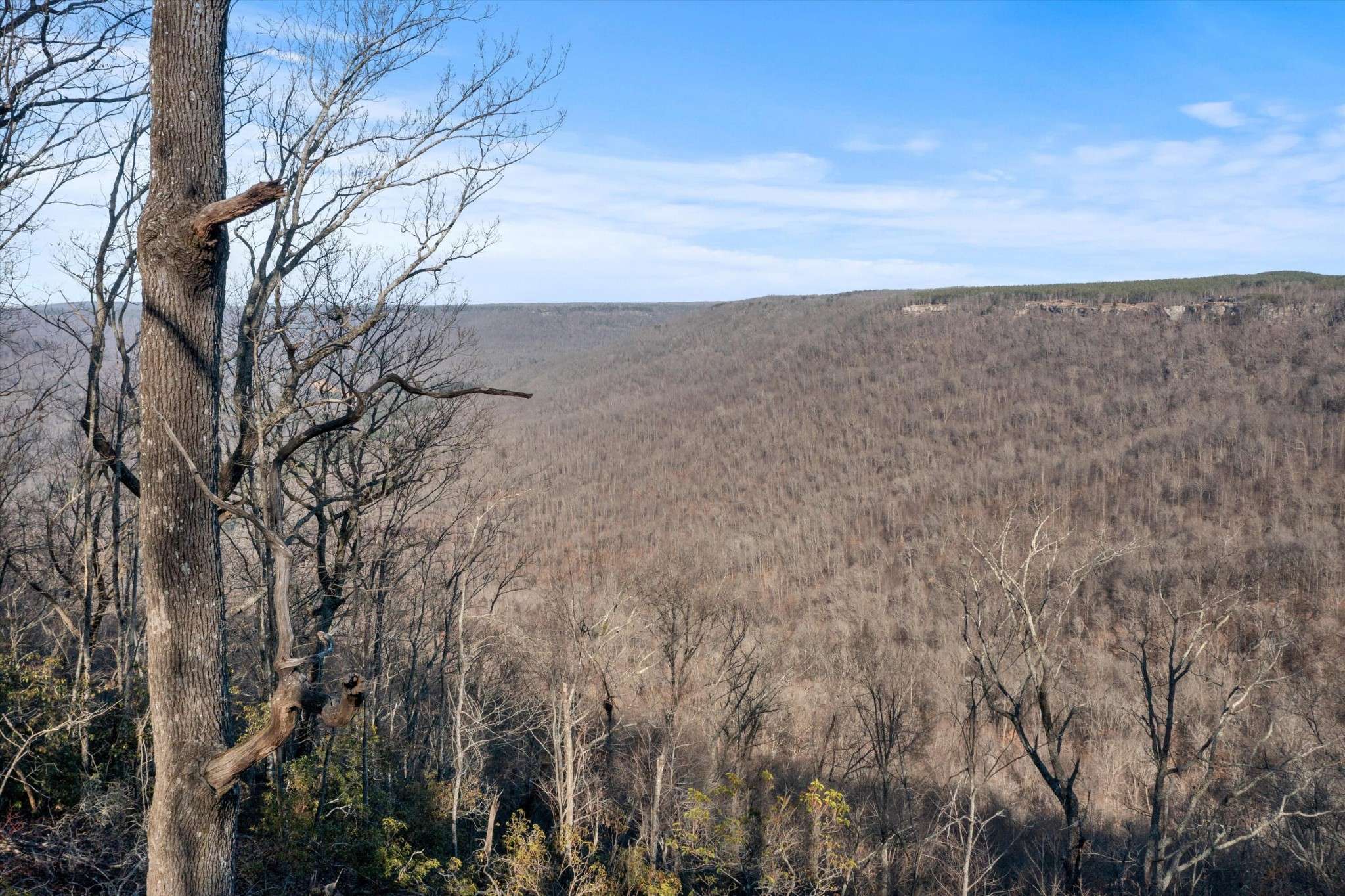 0 Summit Way, Jasper, TN 37347