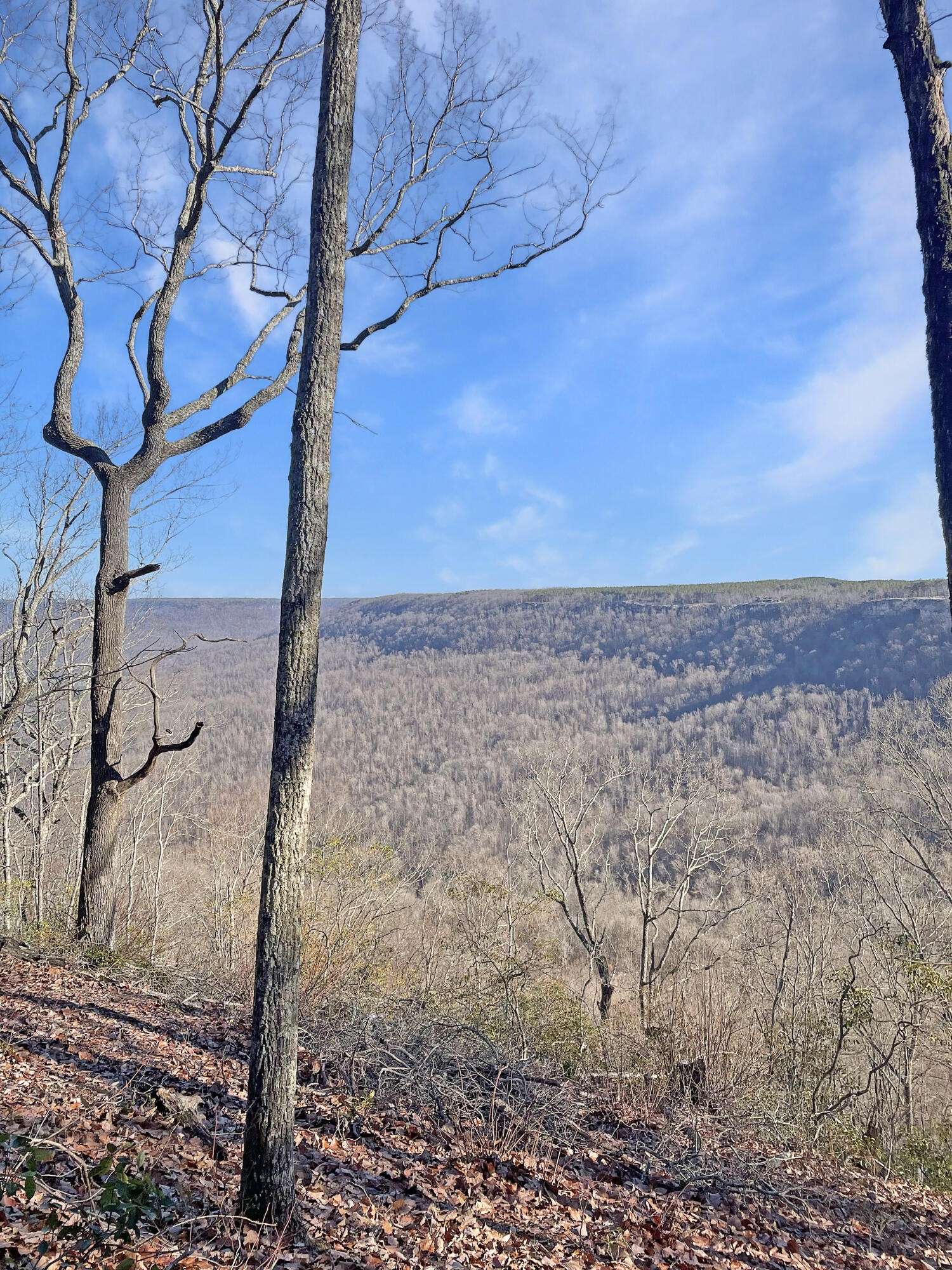 0 Summit Way, Jasper, TN 37347