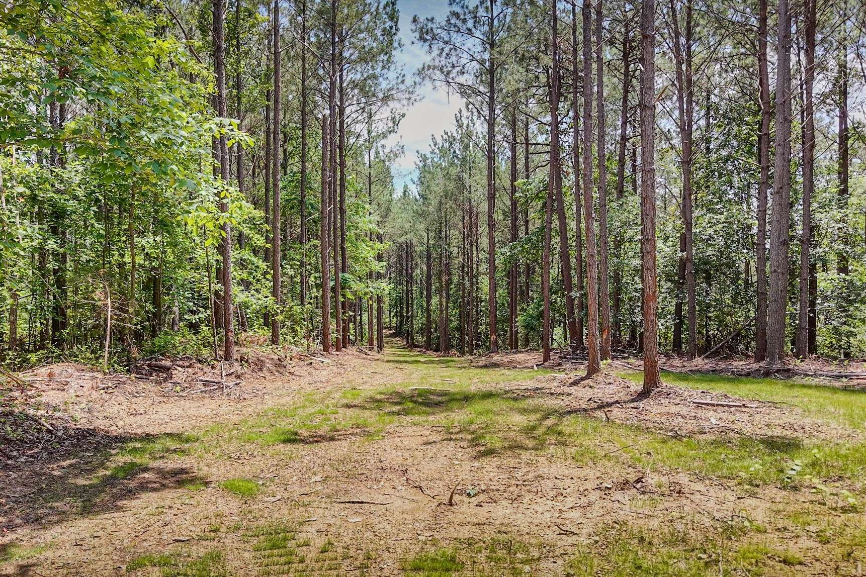 0 Hudson Rd, Hohenwald, TN 38462