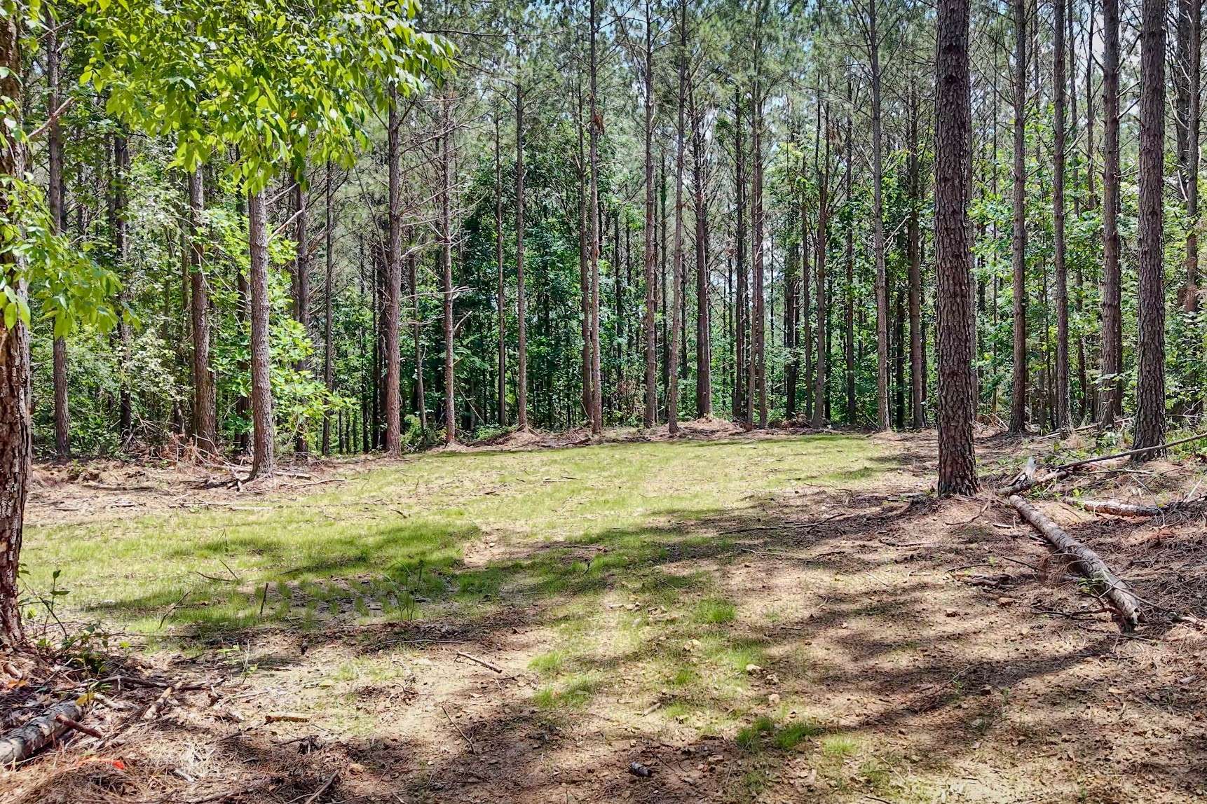 0 Hudson Rd, Hohenwald, TN 38462
