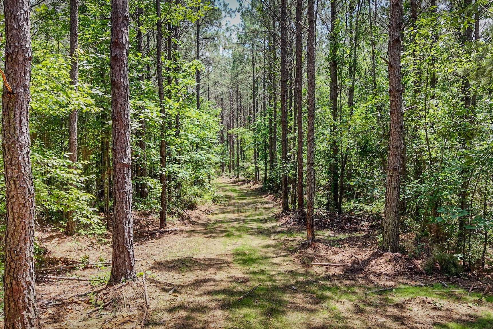 0 Hudson Rd, Hohenwald, TN 38462