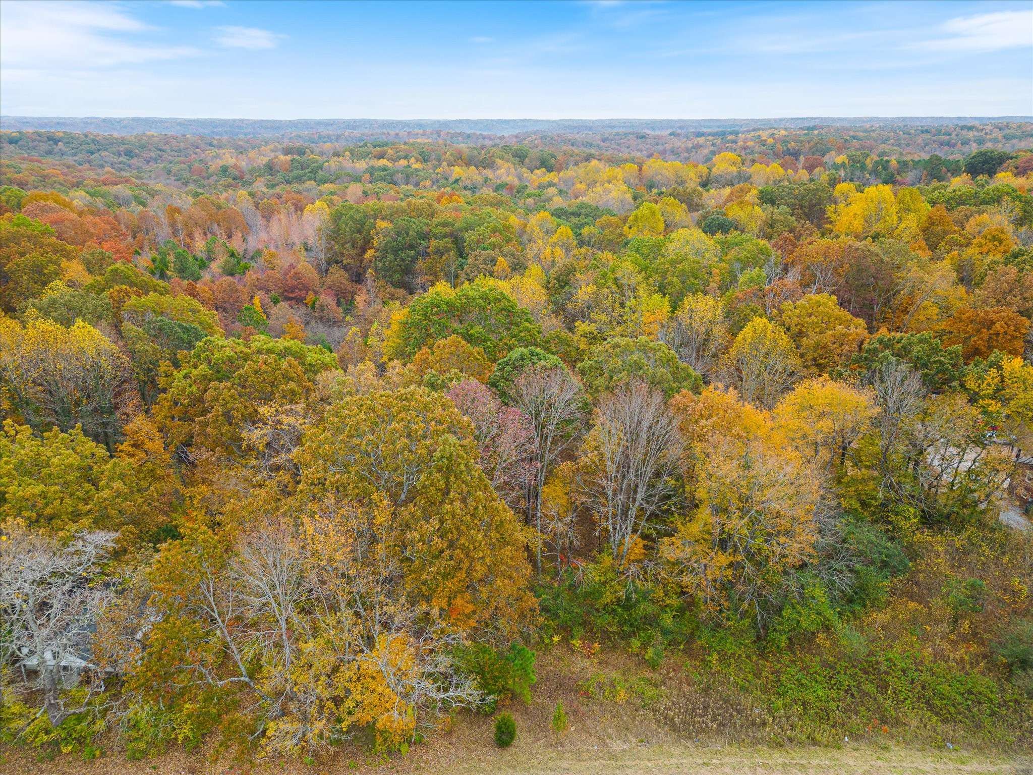 0 Wallace Road, Fairview, TN 37062