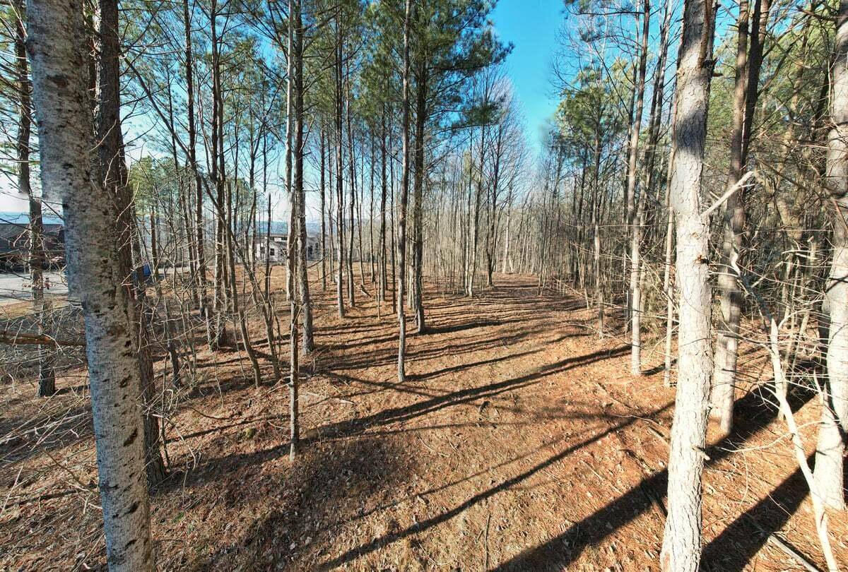 0 Waterwheel Way, Jasper, TN 37347