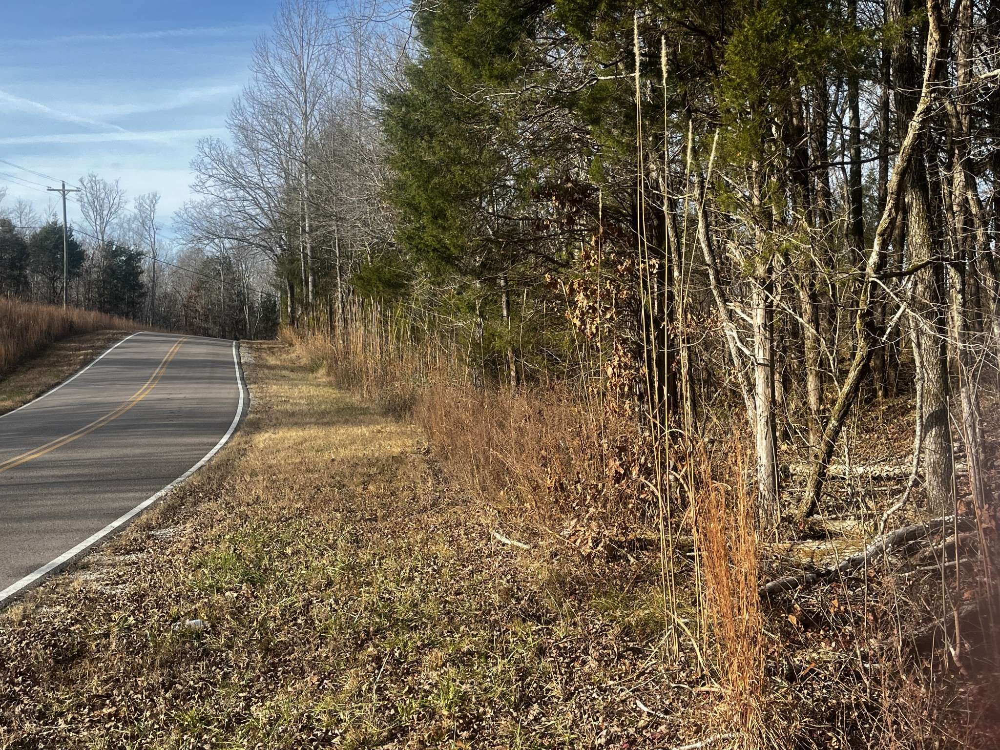 1 Old State Hwy 69, Sugar Tree, TN 38380