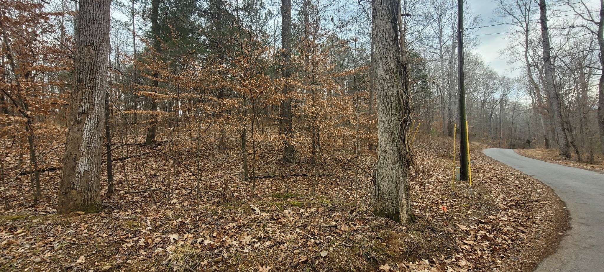 1 Tobaccoport Circle, Bumpus Mills, TN 37028
