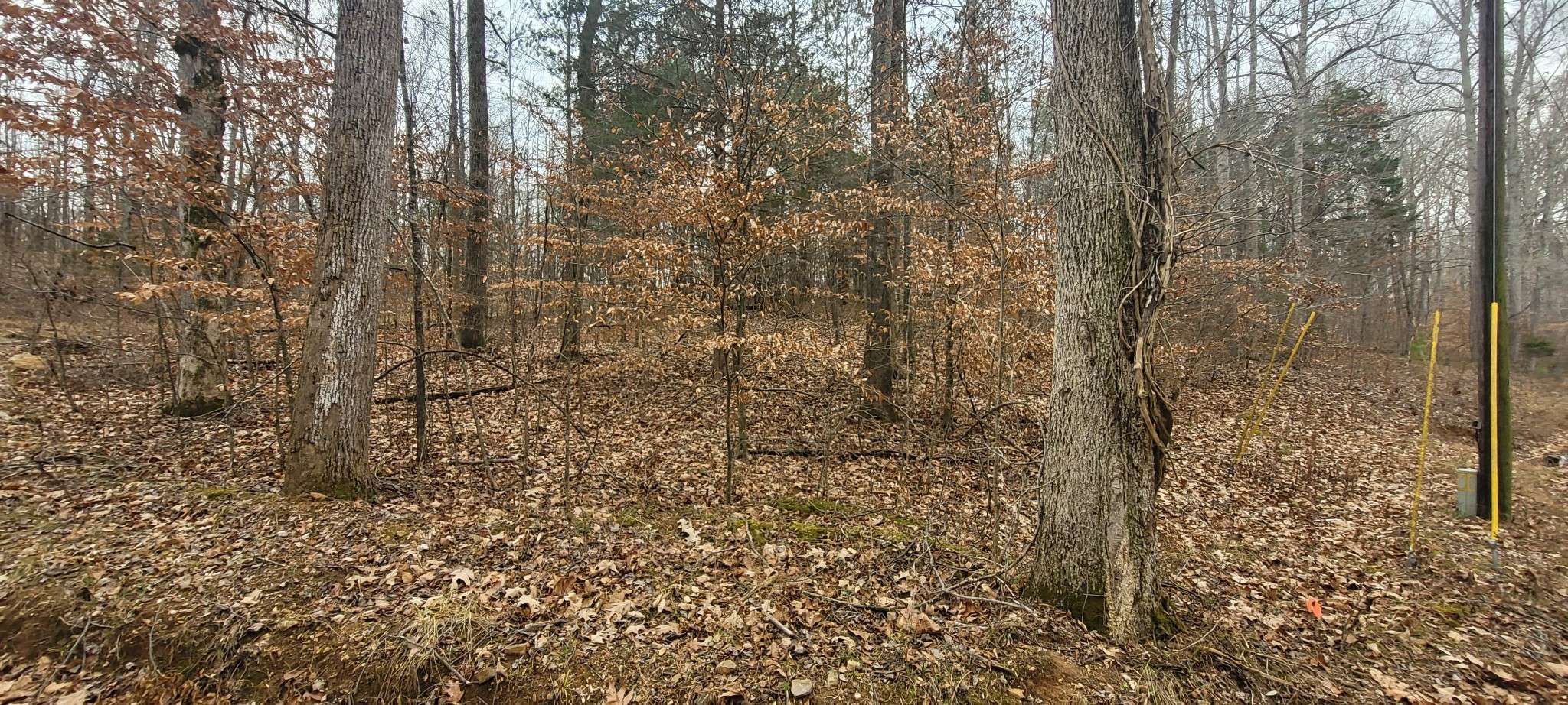 1 Tobaccoport Circle, Bumpus Mills, TN 37028