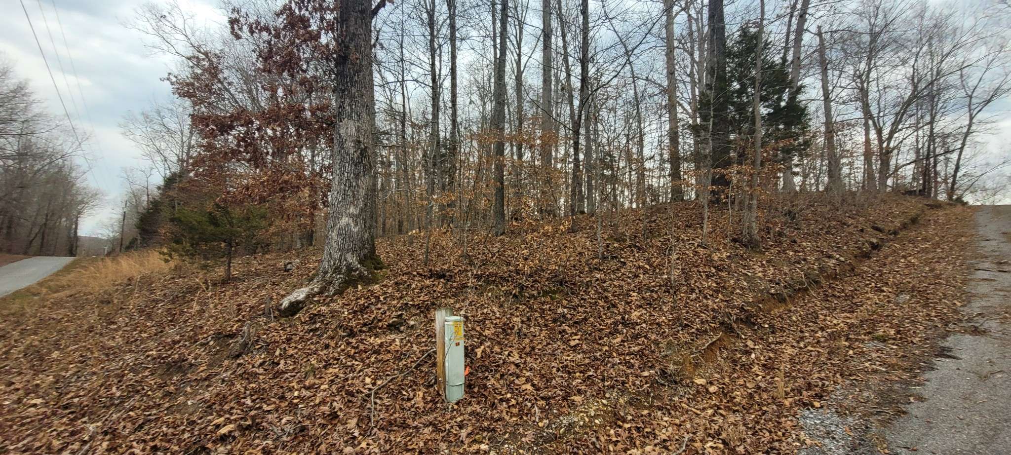 1 Lakeshore Cir, Bumpus Mills, TN 37028
