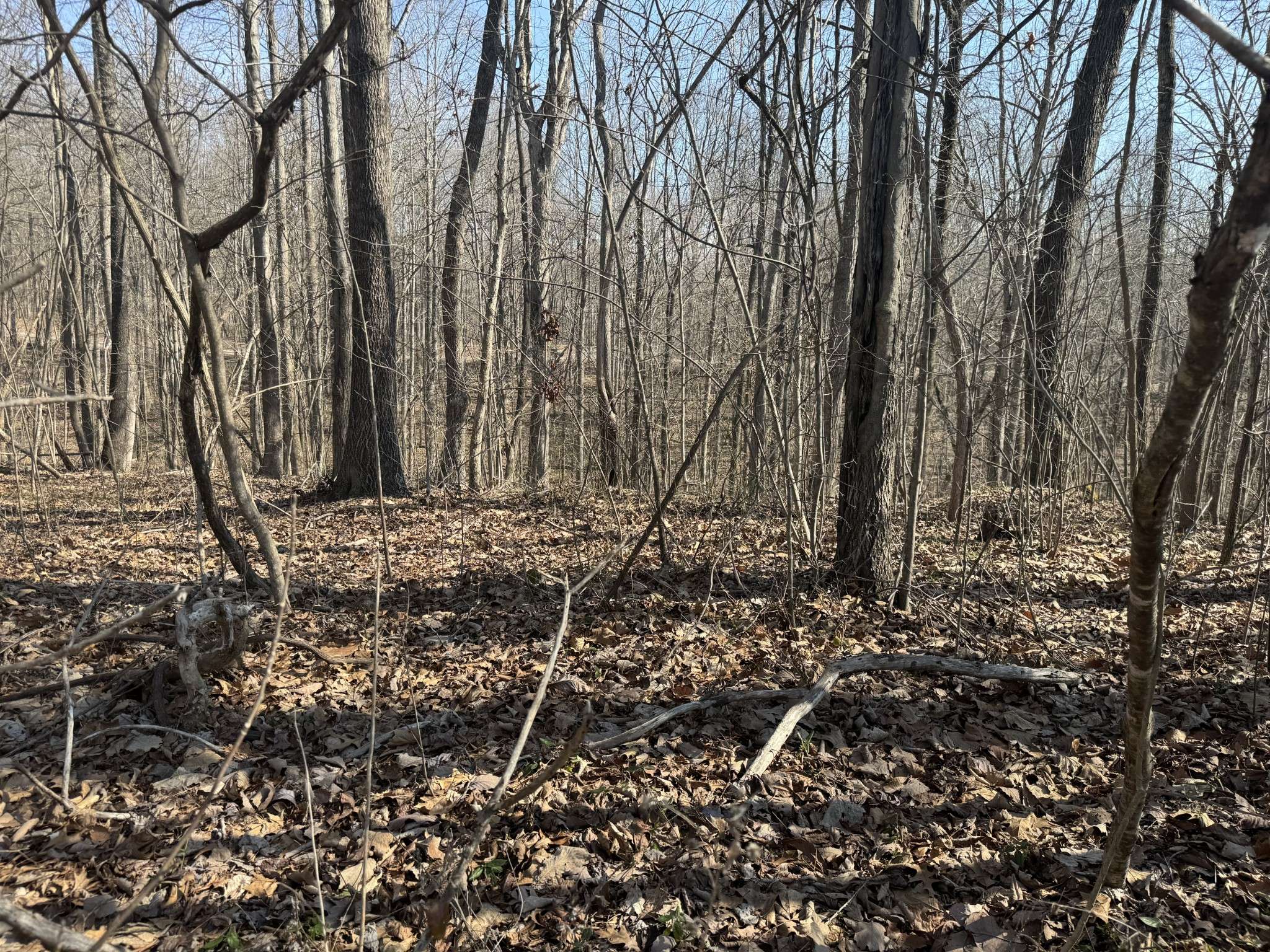 0 Tennis Court Center, Smithville, TN 37166