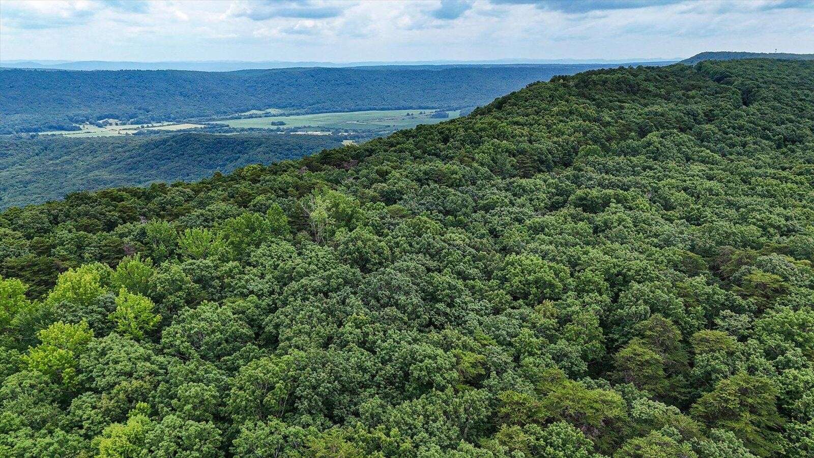 0 Hwy 157, Menlo, GA 30731