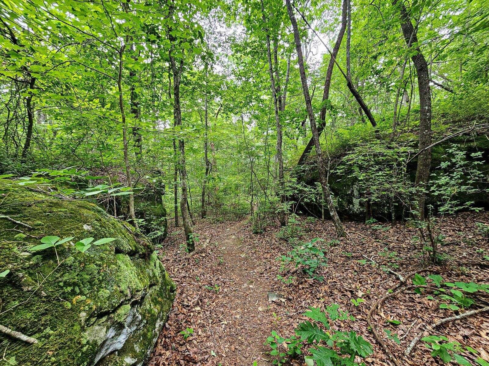 0 Hwy 157, Menlo, GA 30731