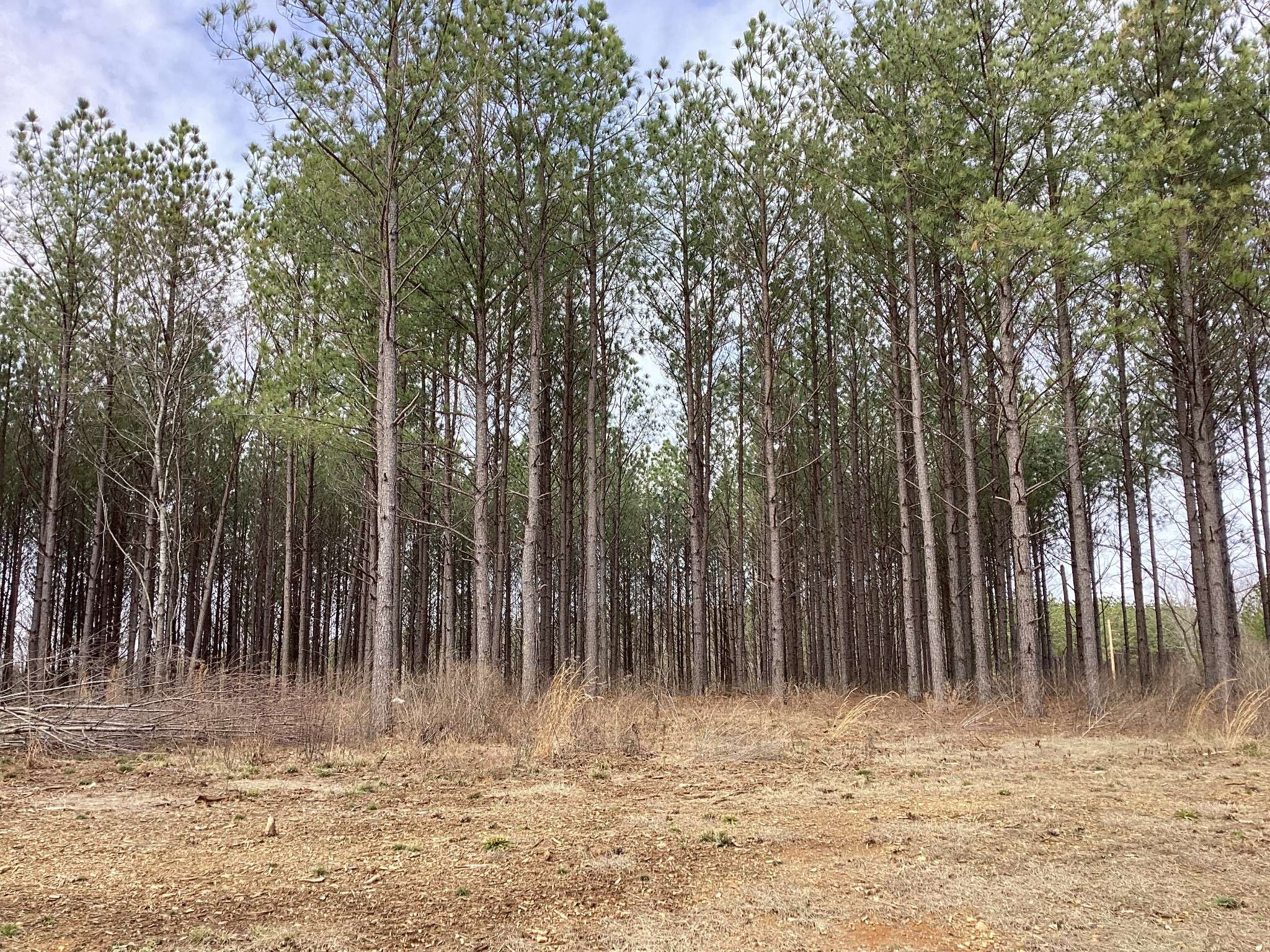 36 Pioneer Dr, Linden, TN 37096