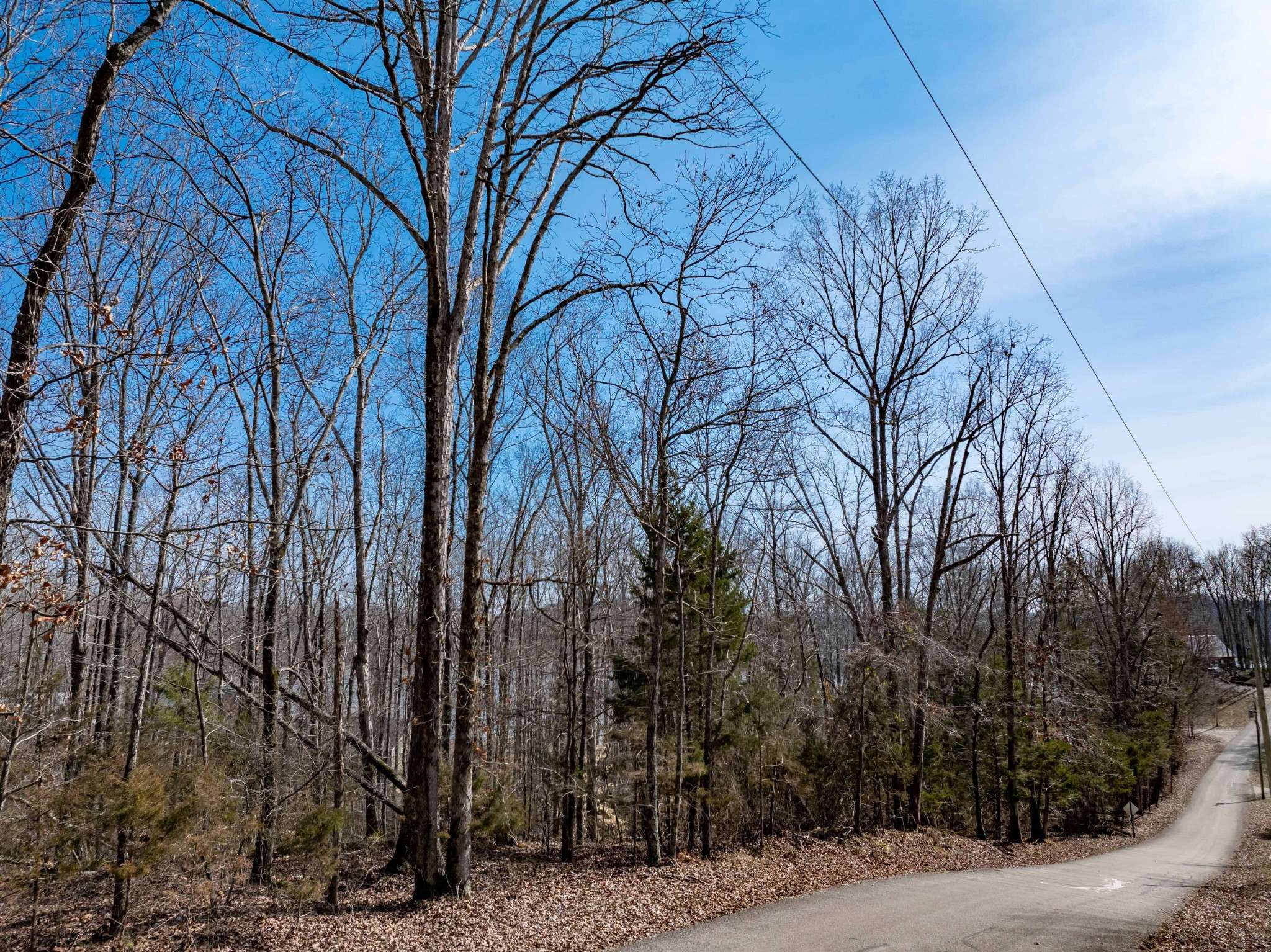 0 Fawn Ridge Road, Parsons, TN 38363