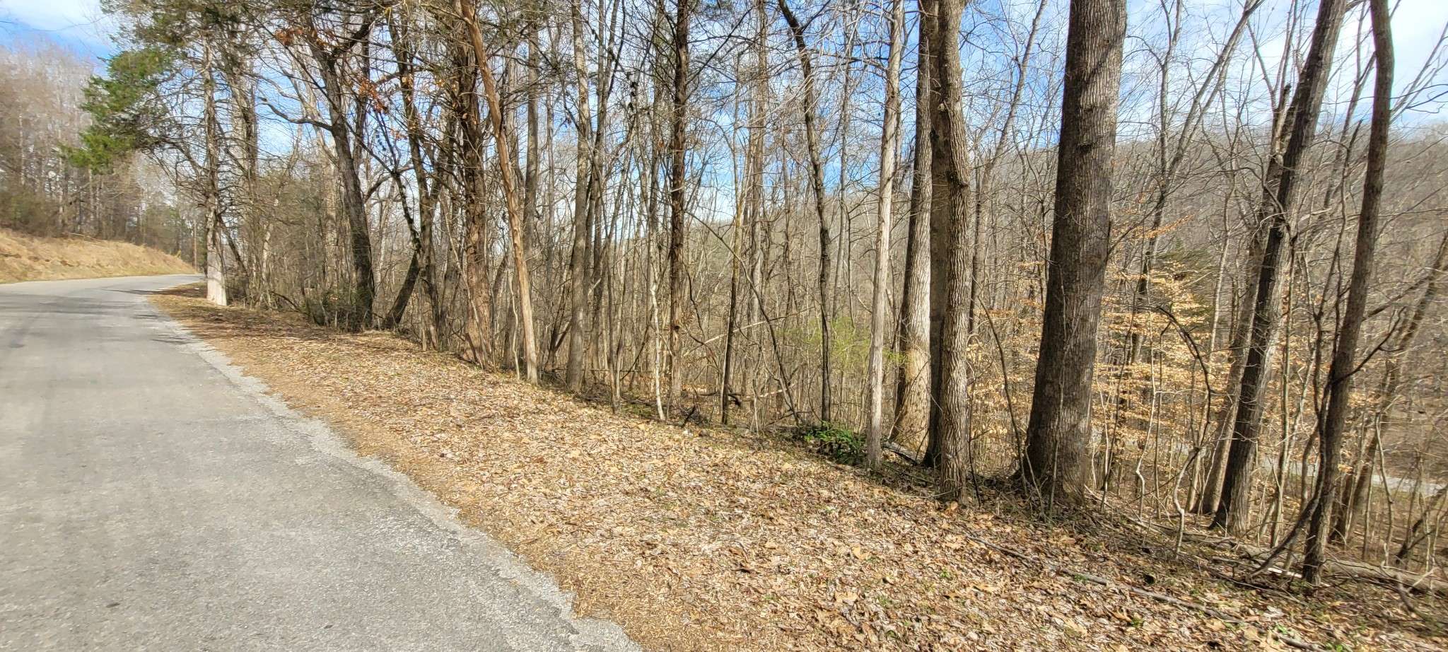 1 Lakeshore Cir, Dover, TN 37058