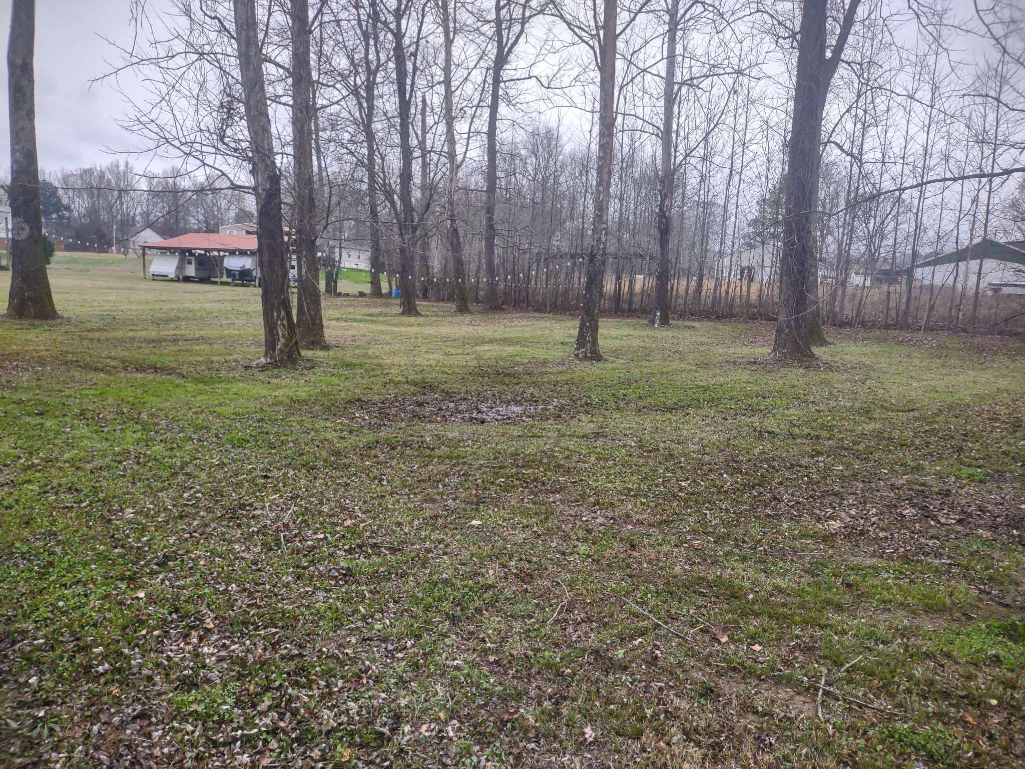 59 Lakeside Ln, Decaturville, TN 38329
