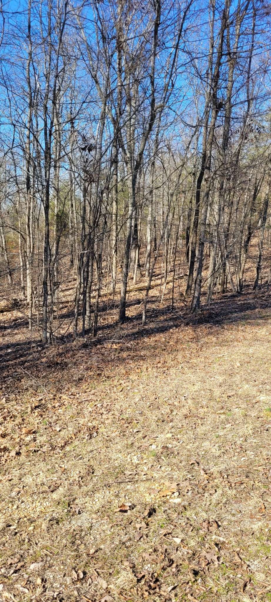 1 Eagle Shore Dr, Dover, TN 37058