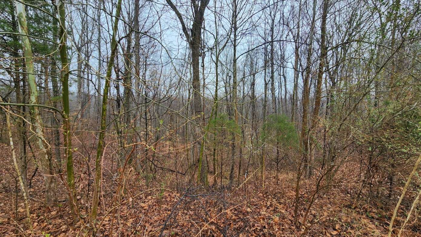 1120 Jacobs Ct, Joelton, TN 37080