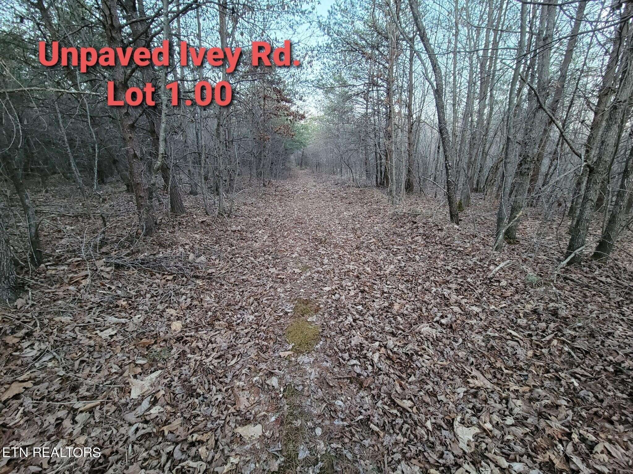 0 IVEY ROAD HWY 127 N OFF, Crossville, TN 38555