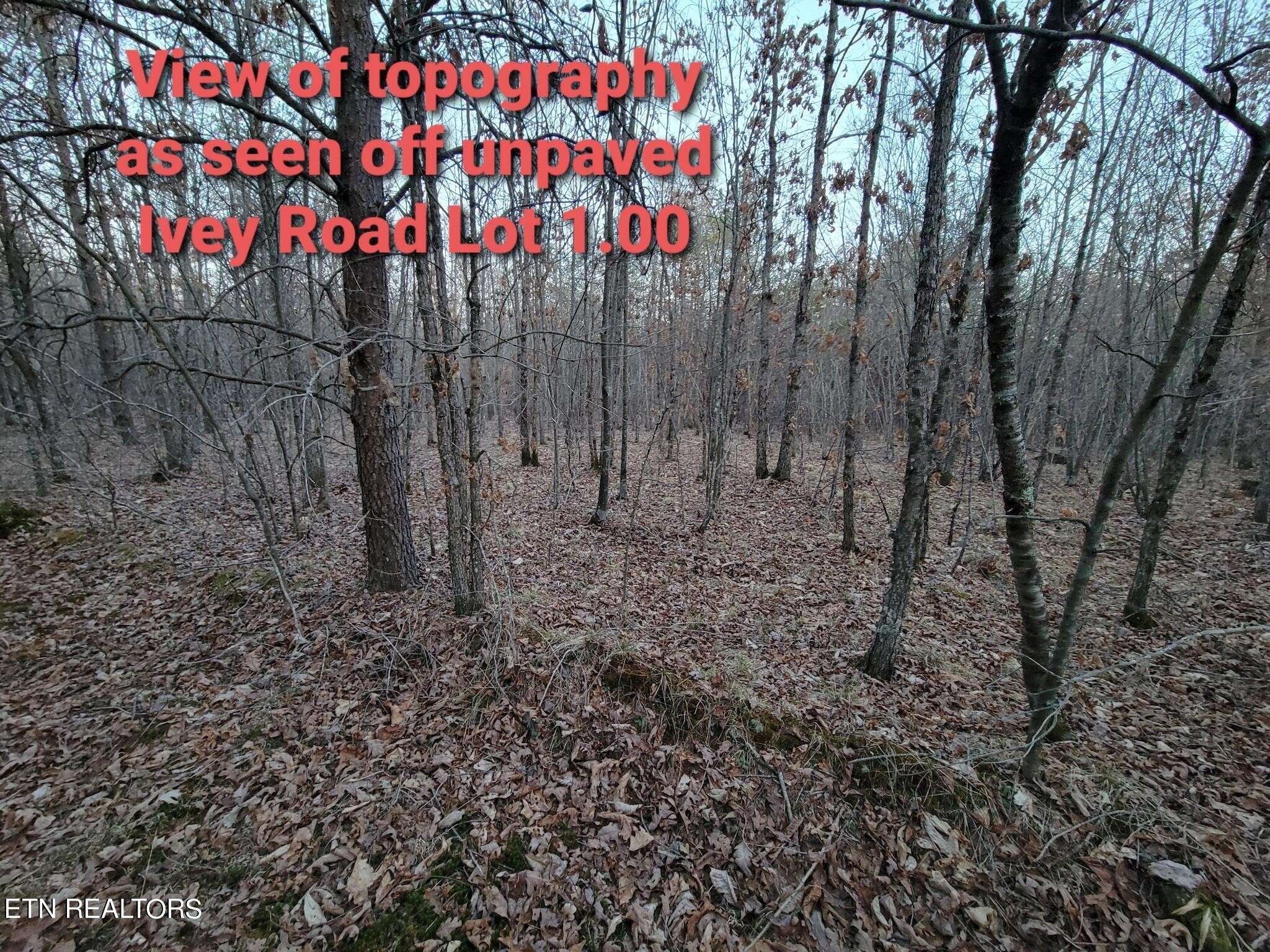 0 IVEY ROAD HWY 127 N OFF, Crossville, TN 38555