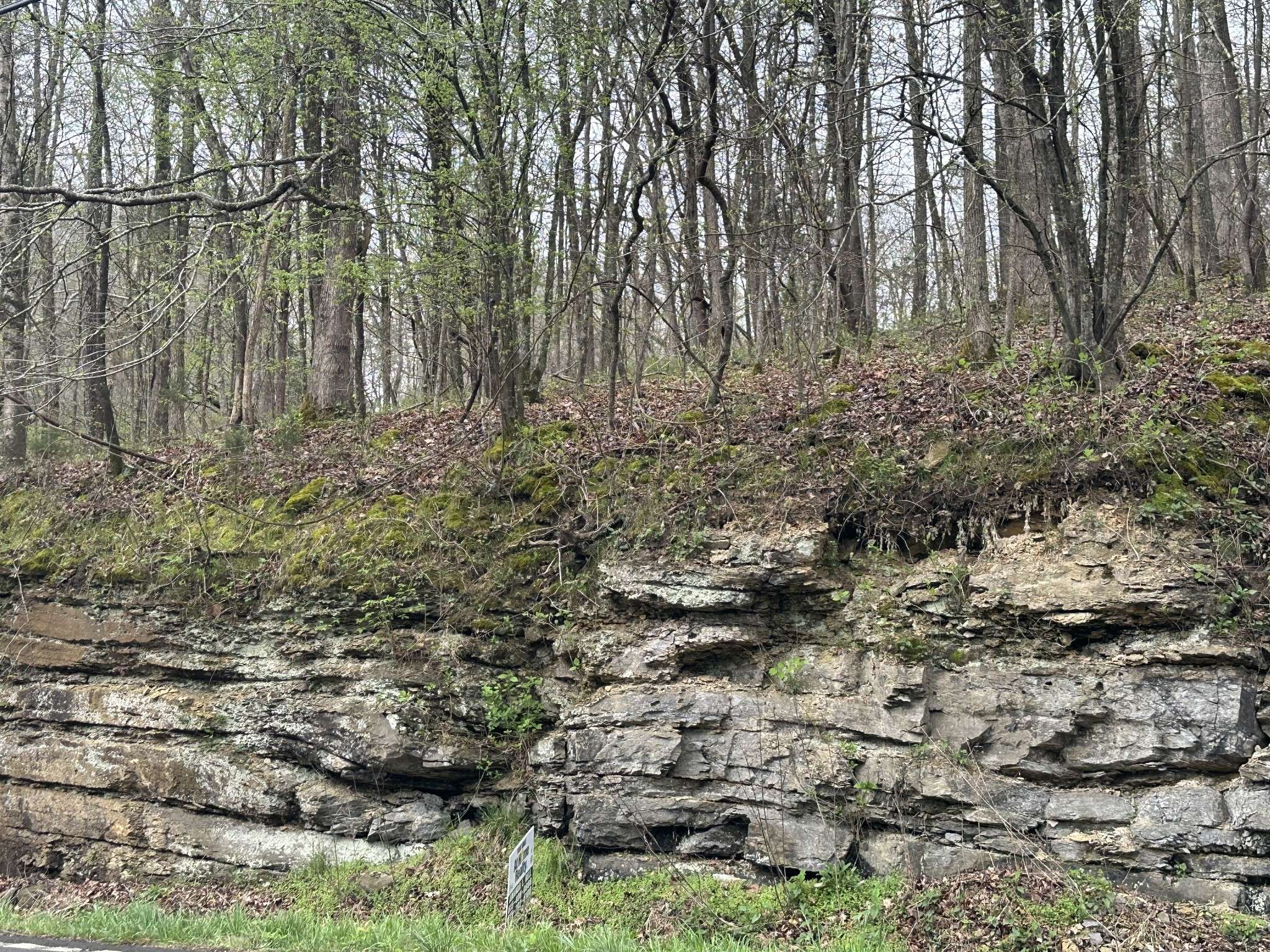 0 Hwy 49, Ashland City, TN 37015